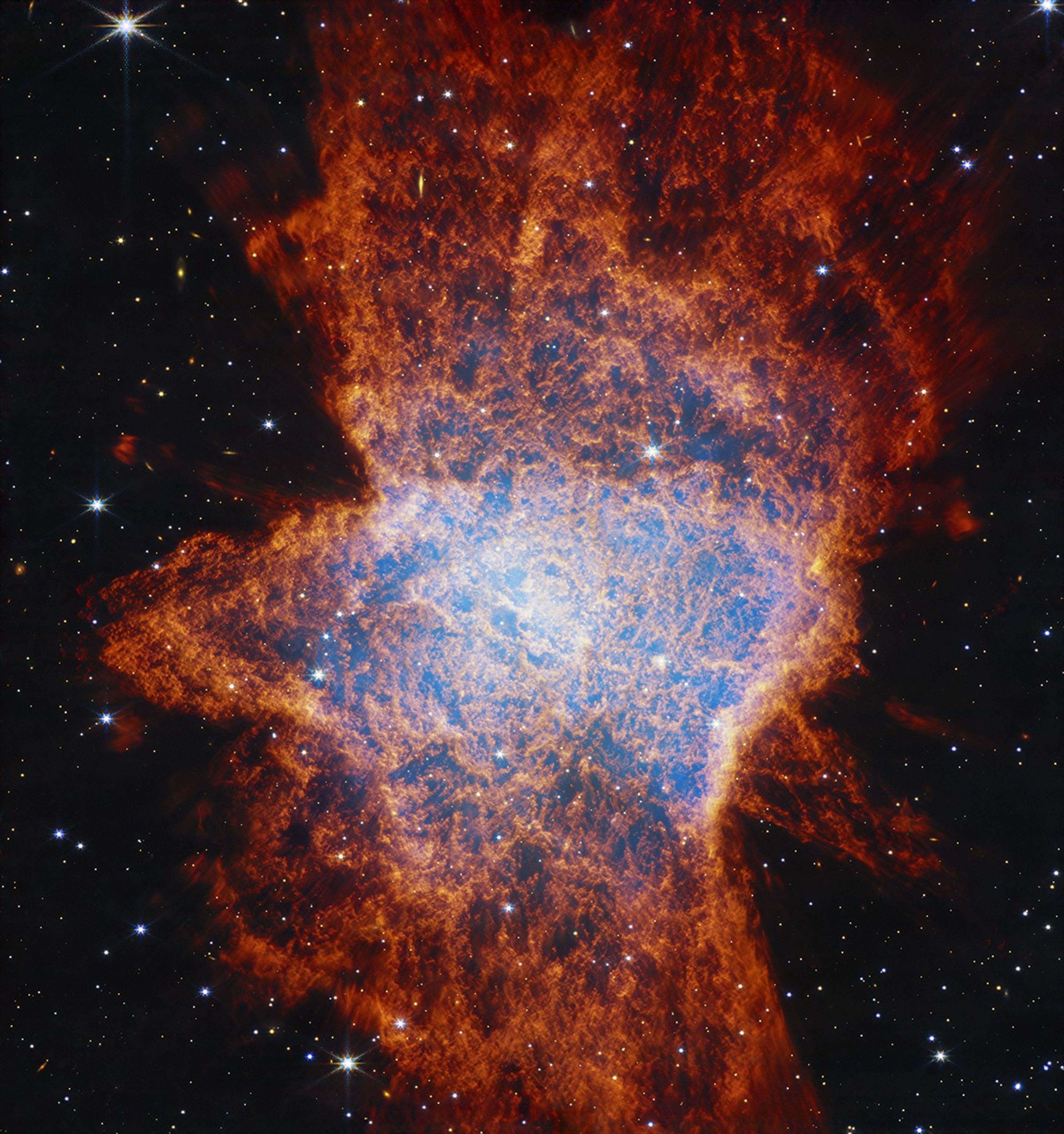 ★世界5枚★ ディズニー★ ティガー ★2025 ソロモン★NGC PF69UC STRDIZB2TNGB5IAQJILQJ6YN64.jpg