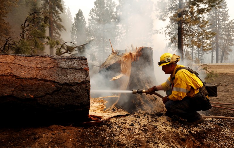 Dixie fire spreads in northern California