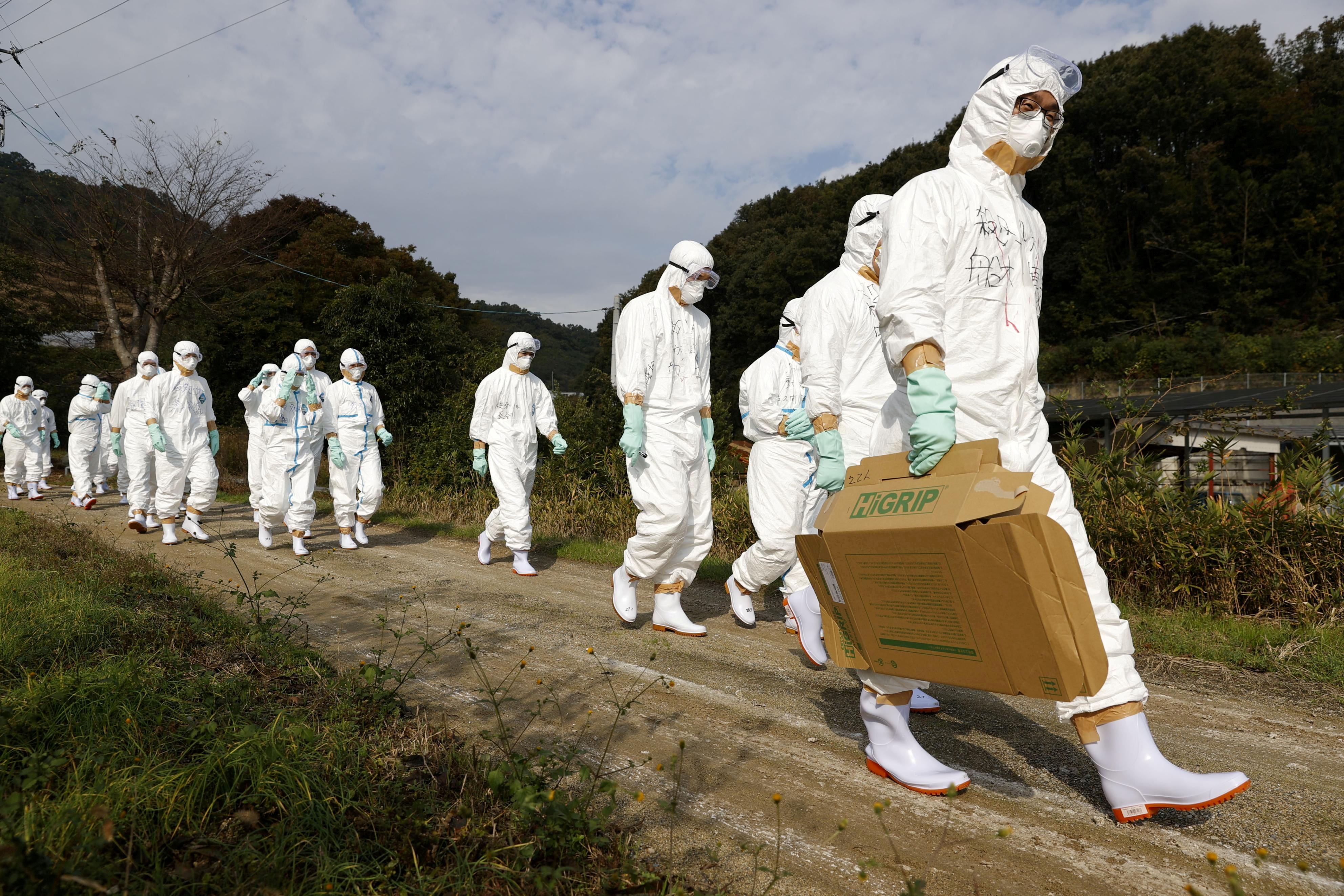 Officials in protective suits head to a poultry farm for a suspected bird flu case in Higashikagawa, western Japan, in this photo taken by Kyodo November 8, 2020. Mandatory credit Kyodo/via REUTERS