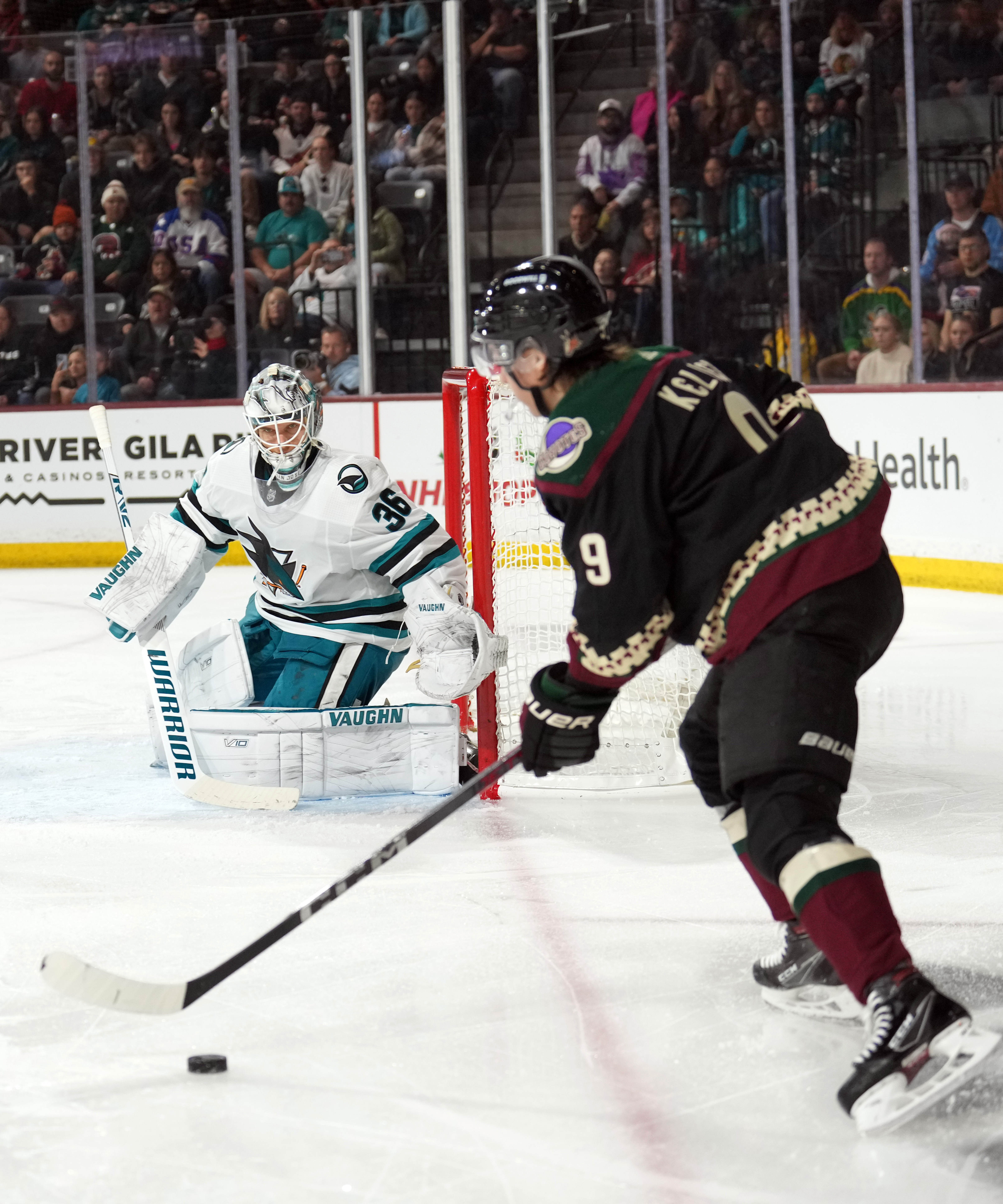 Connor Ingram, Arizona Coyotes shut out San Jose Sharks