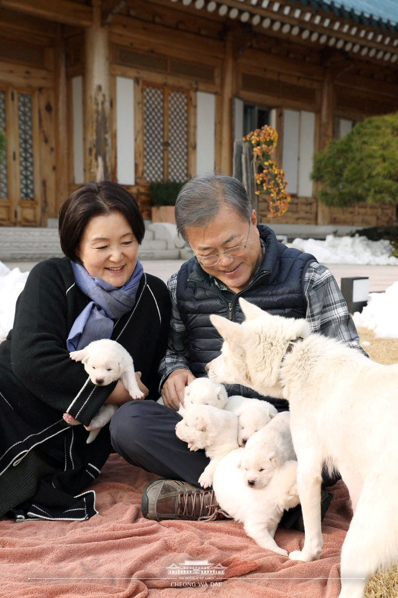 ExSouth Korean leader plans to give up dogs from North Korea's Kim