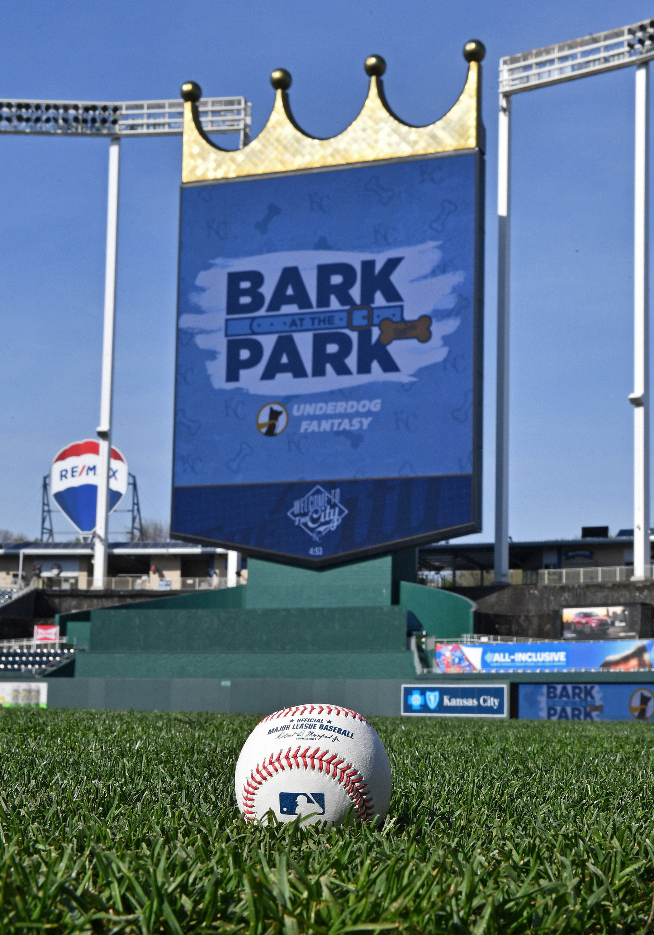 Photo gallery: 'Bark at the Park' at Kauffman Stadium