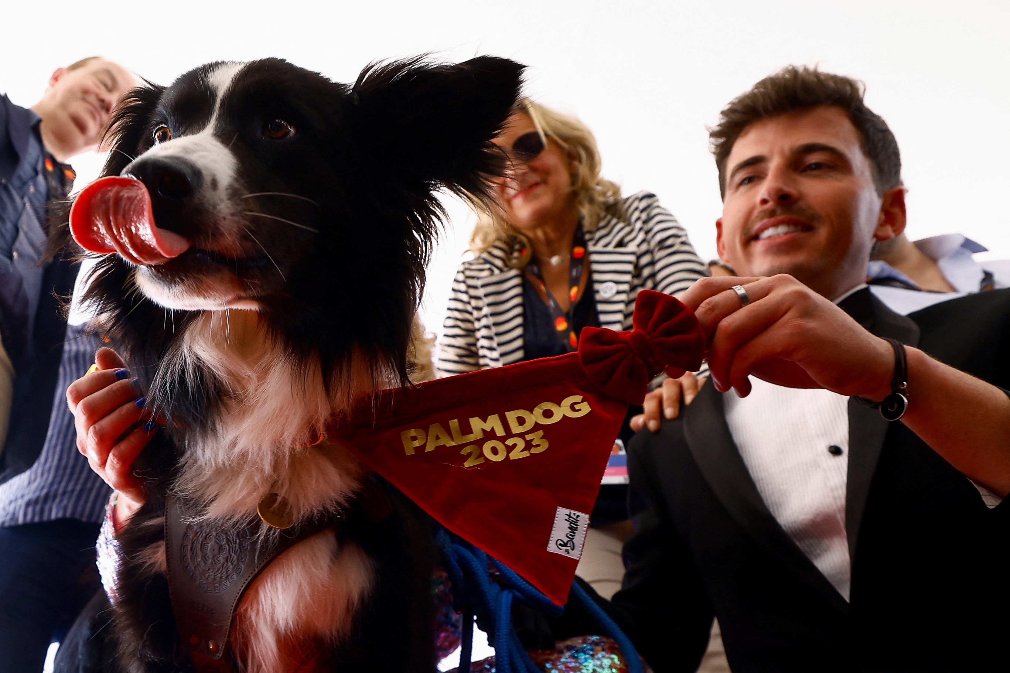 The 76th Cannes Film Festival - The Palm Dog Awards