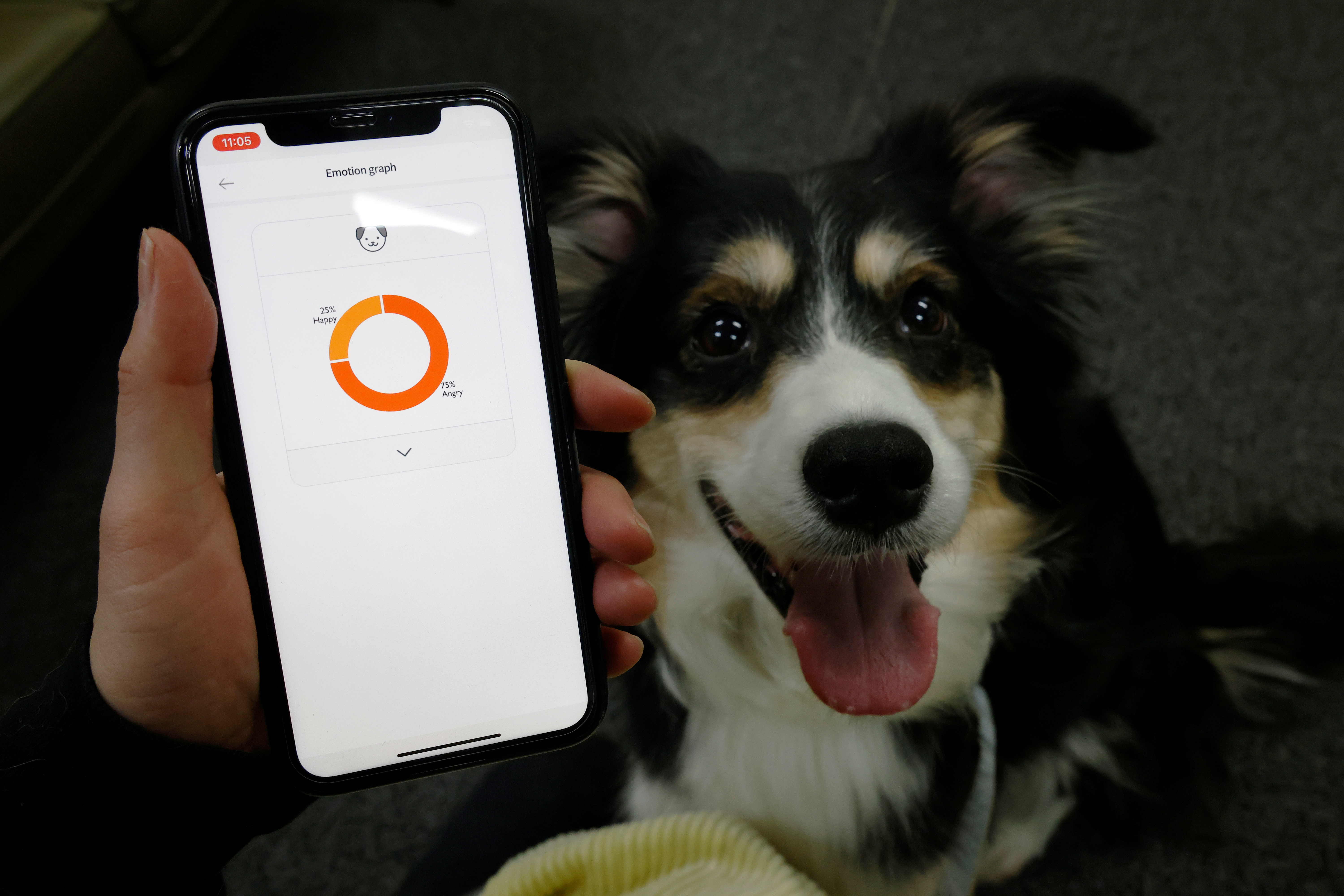 Moon Sae-mi tries out Petpuls, an AI-powered smart dog collar, with her dog Godot during a demonstration in Seoul, South Korea, January 11, 2021. Picture taken on January 11, 2021.   REUTERS/Kim Hong-Ji