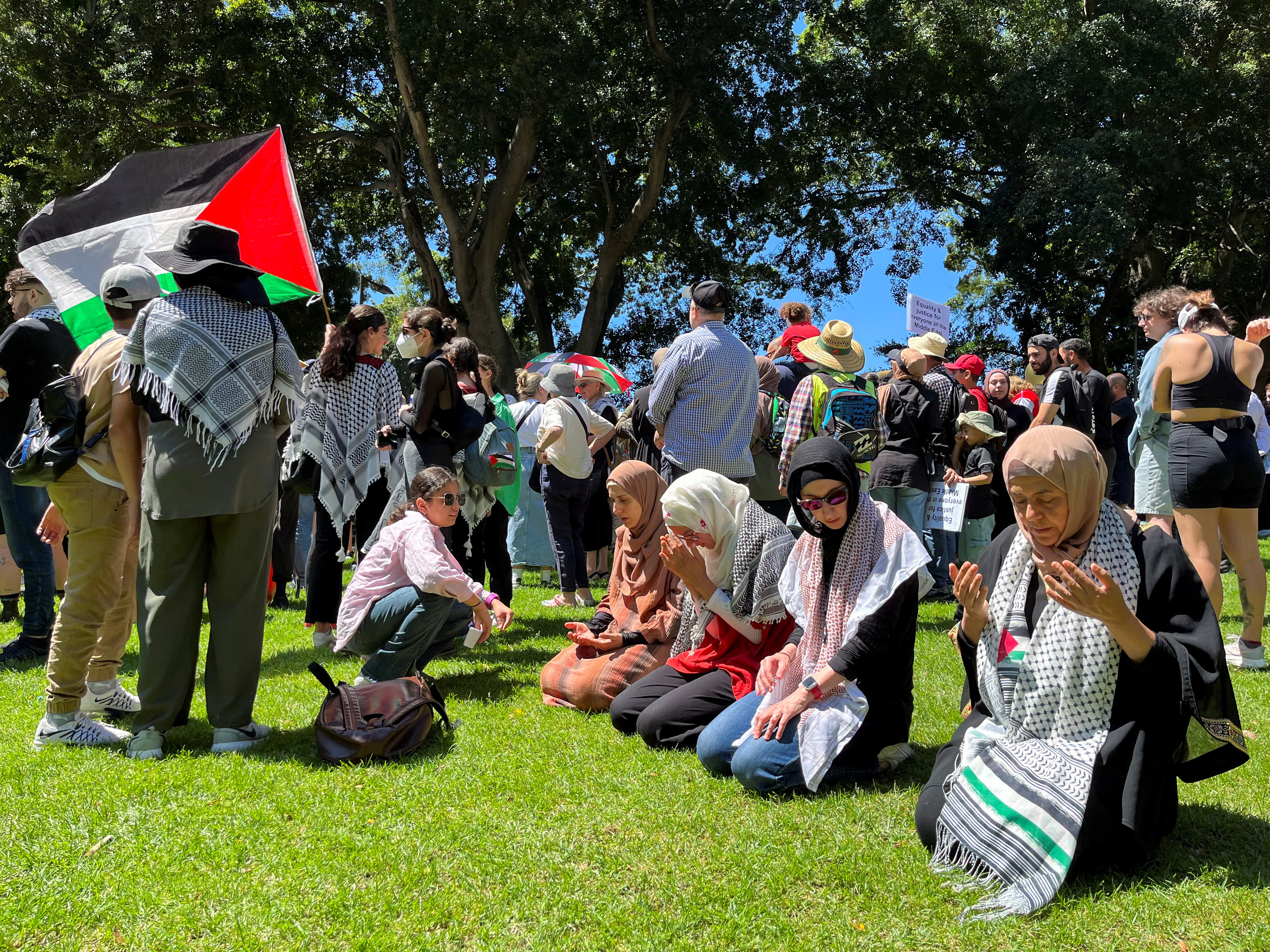 Pro-Palestinian rally in Sydney's Hyde Park