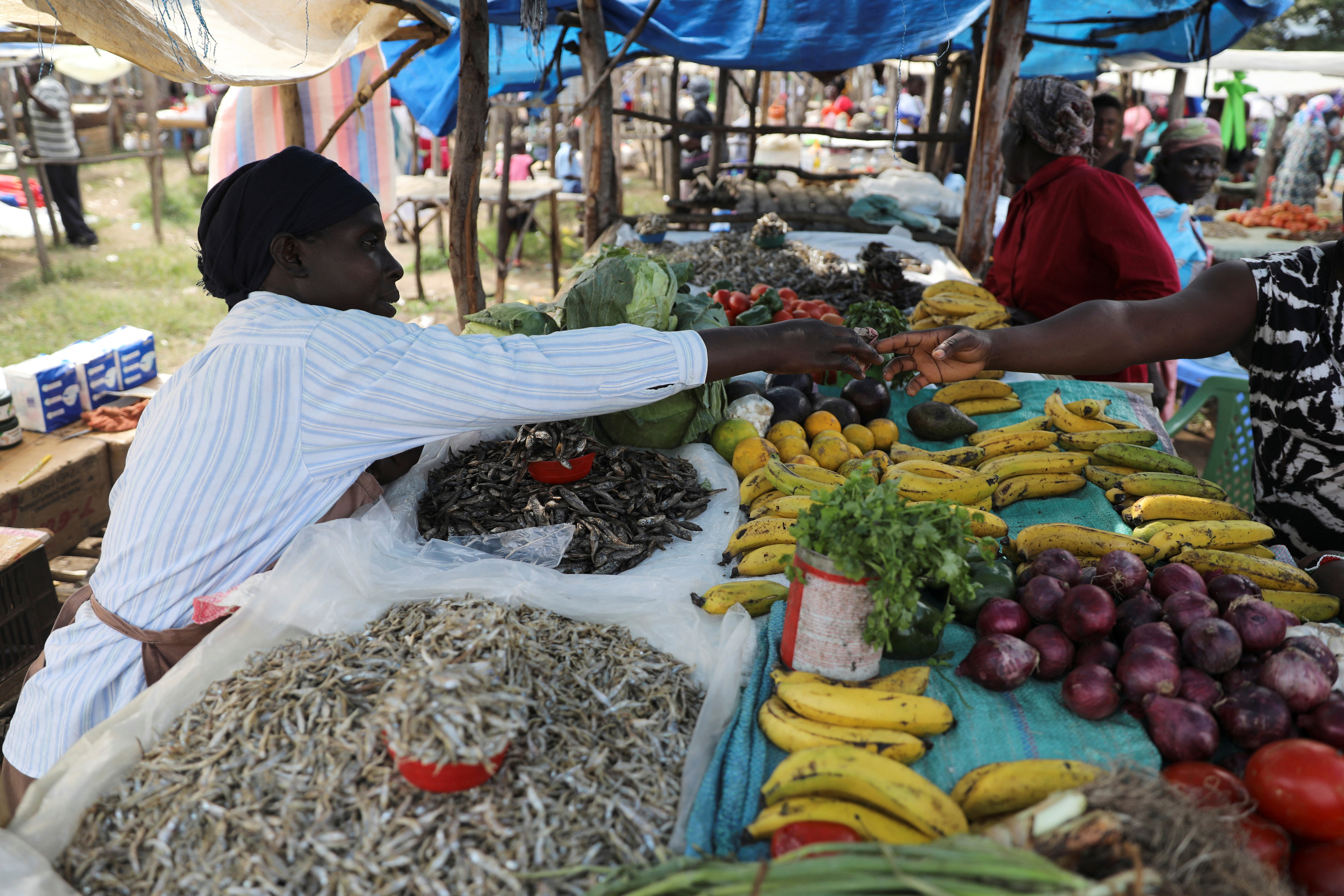 Luo shop owner Caroline Otieno sells fish and fruits at a market stall in the town of Chemase, Nandi county