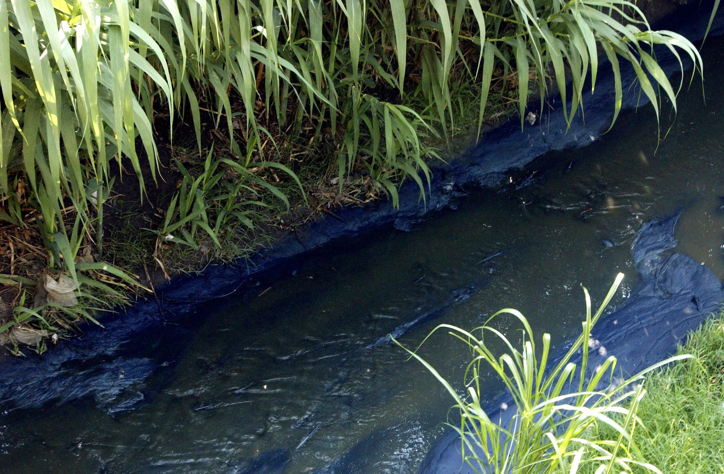 Stream contaminated with chemical discharge from a maquiladora garment assembly plant is seen