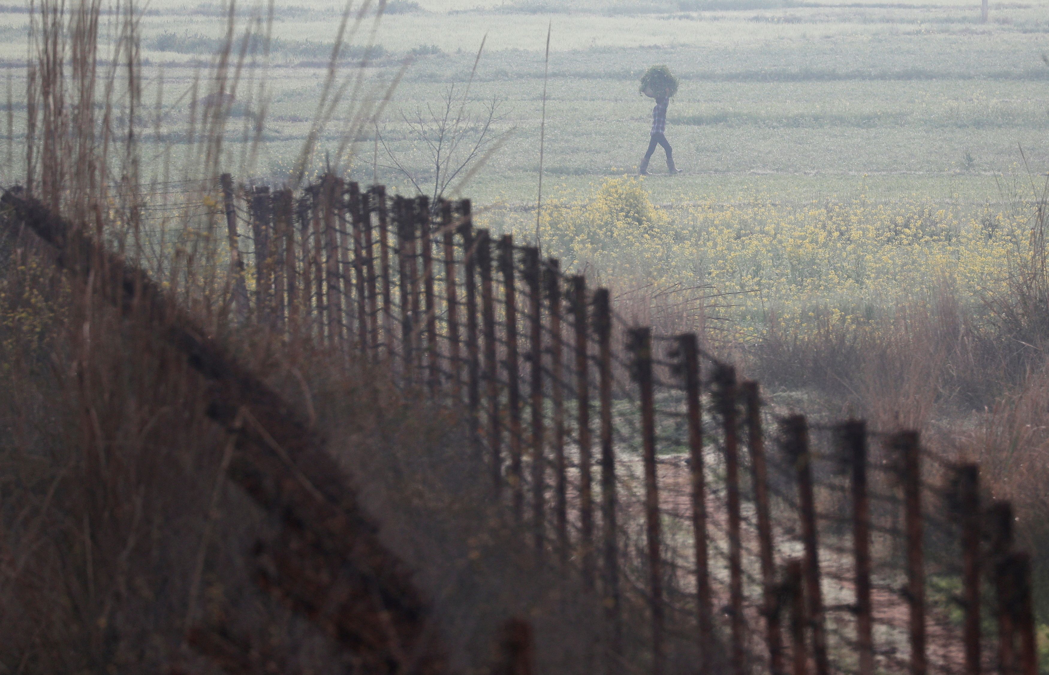 A farmer carries a sack of grass as he walks near the fenced border between India-Pakistan in Ranbir Singh Pura