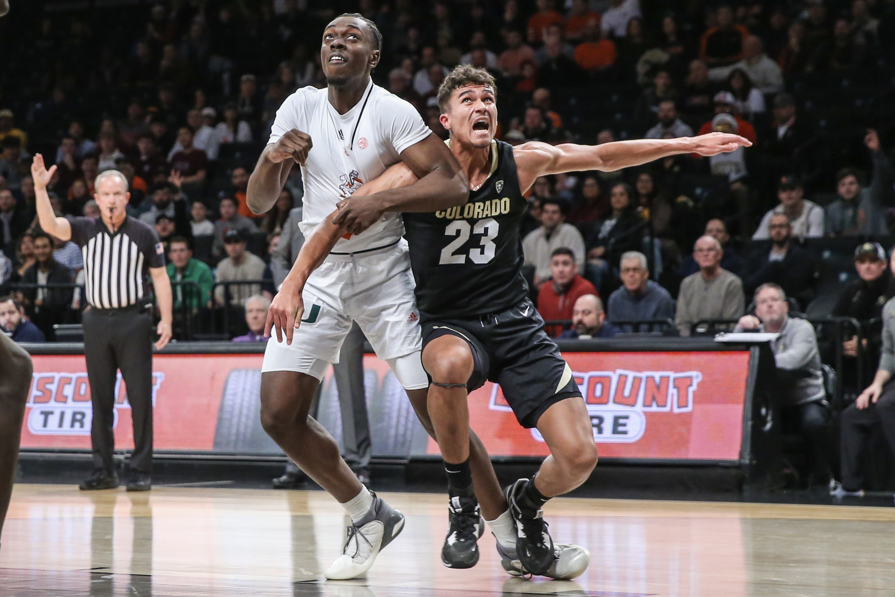 Maxpreps Colorado Basketball - 34x37j3