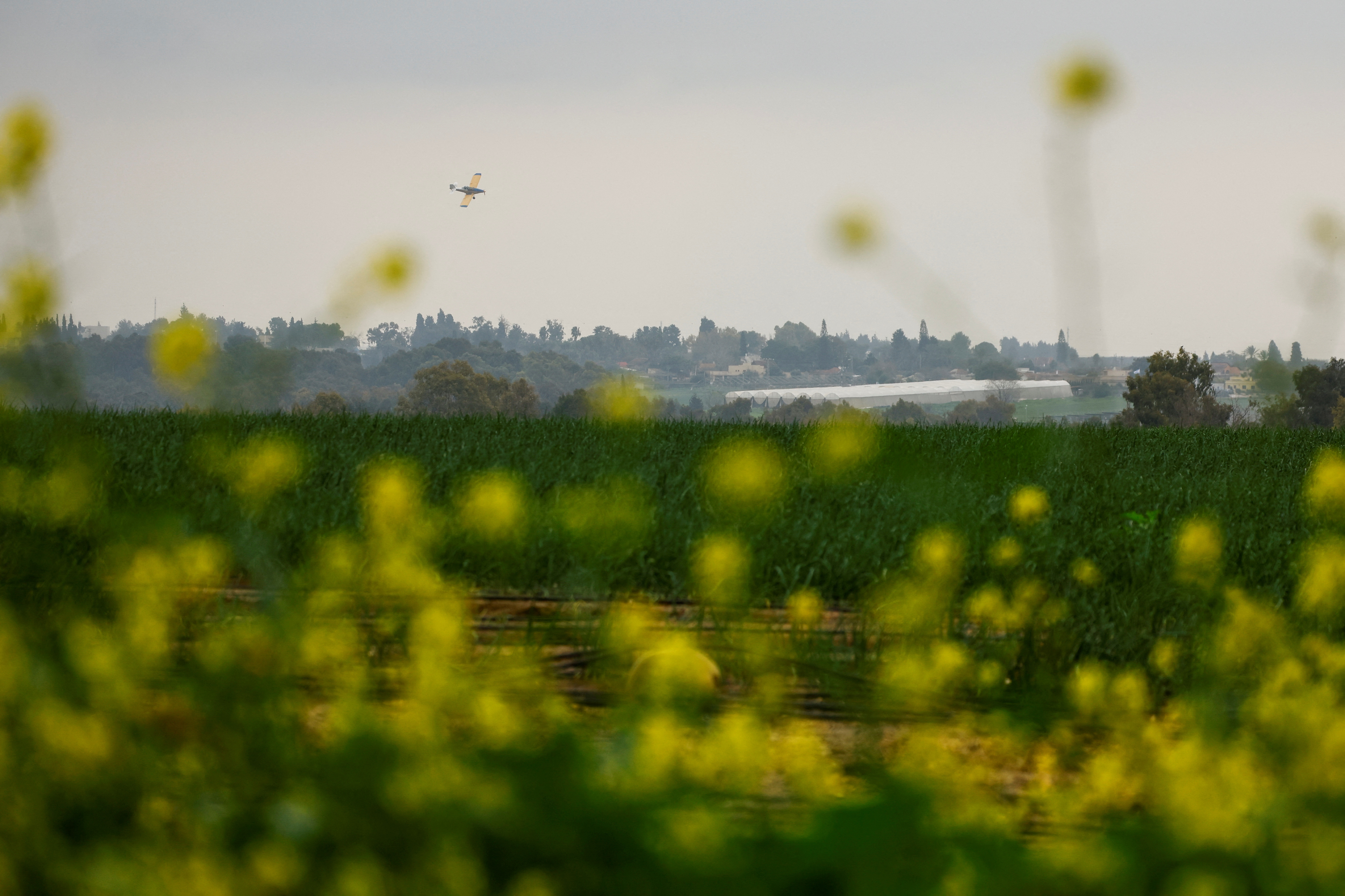 A crop duster plane flies over a field, near the Israel-Gaza border