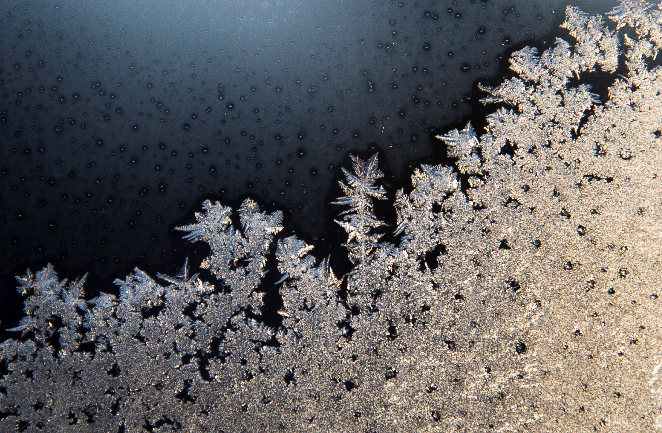 Western New York braces for winter's first major snow storm