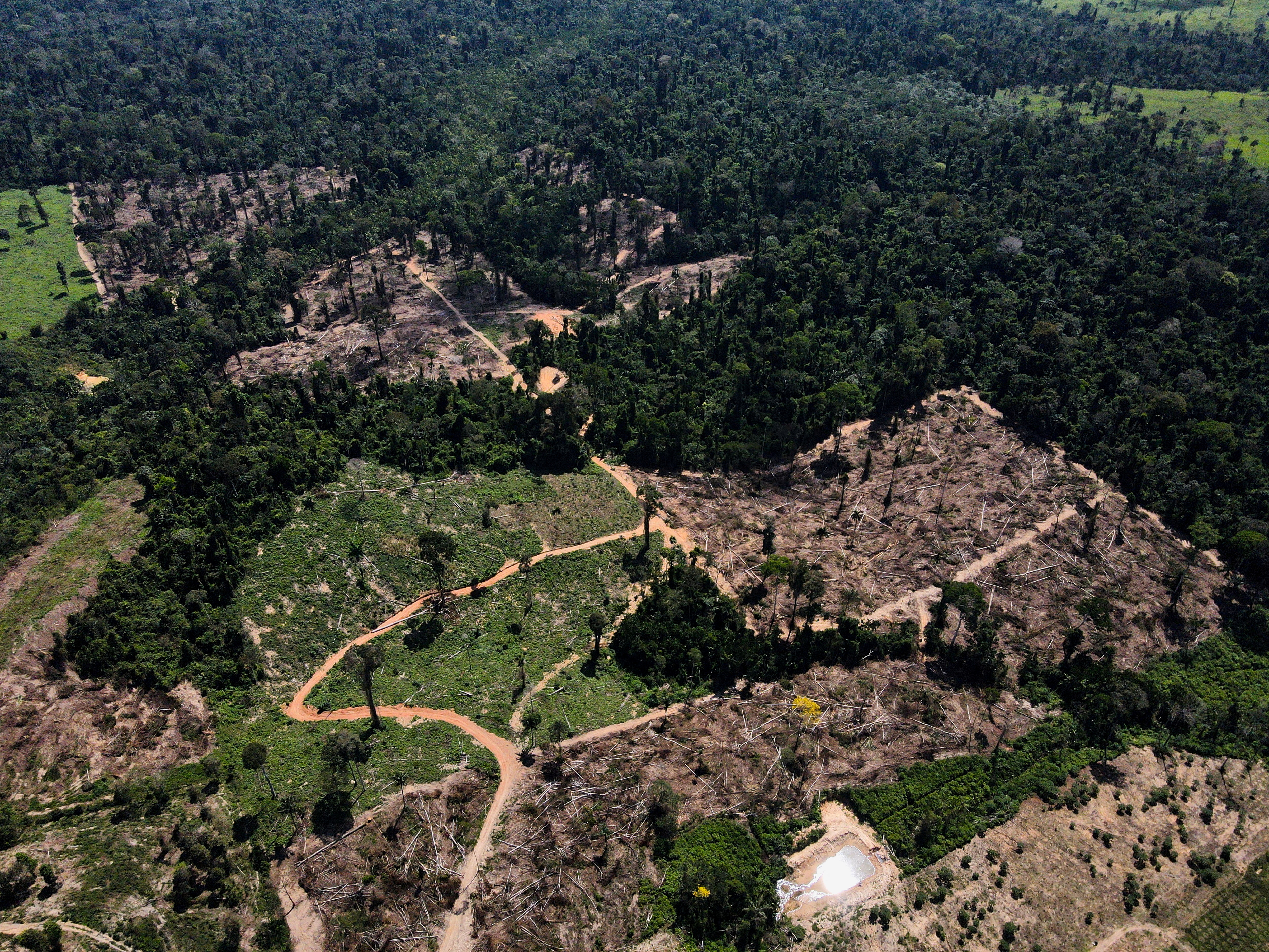 World far off track on pledges to end deforestation by 2030