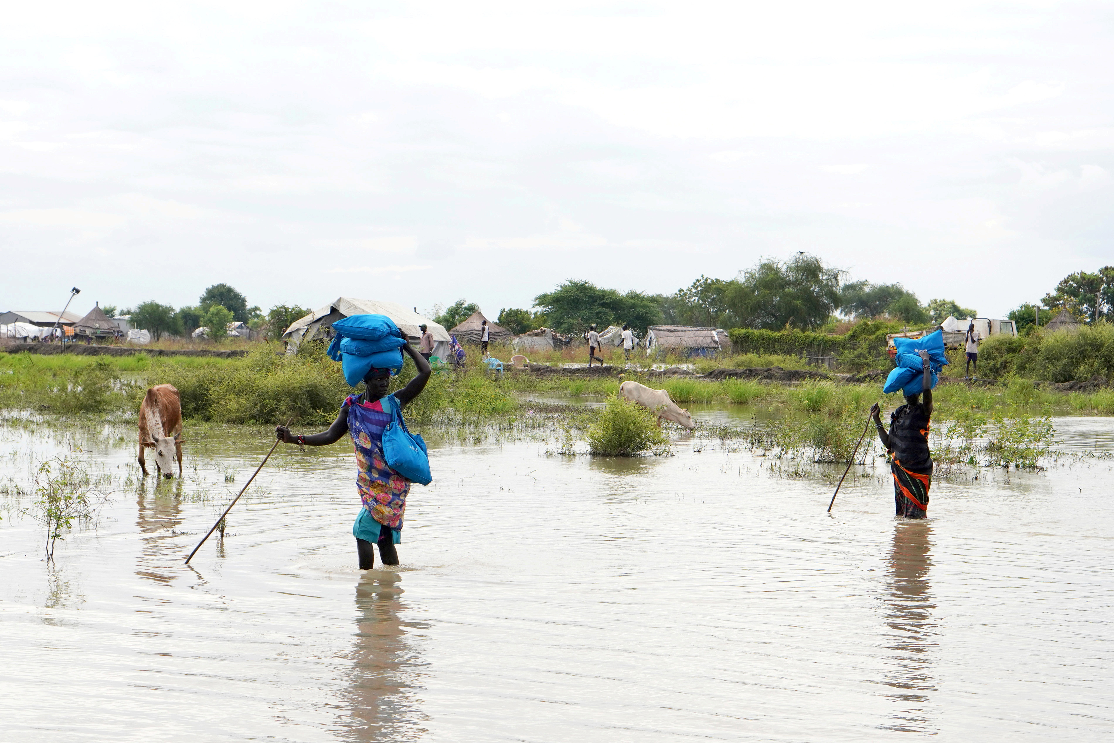 Women carry sacks on their heads as they walk through water, after heavy rains and floods forced hundreds of thousands of people to leave their homes, in the town of Pibor, Boma state, South Sudan, November 6, 2019. REUTERS/Andreea Campeanu