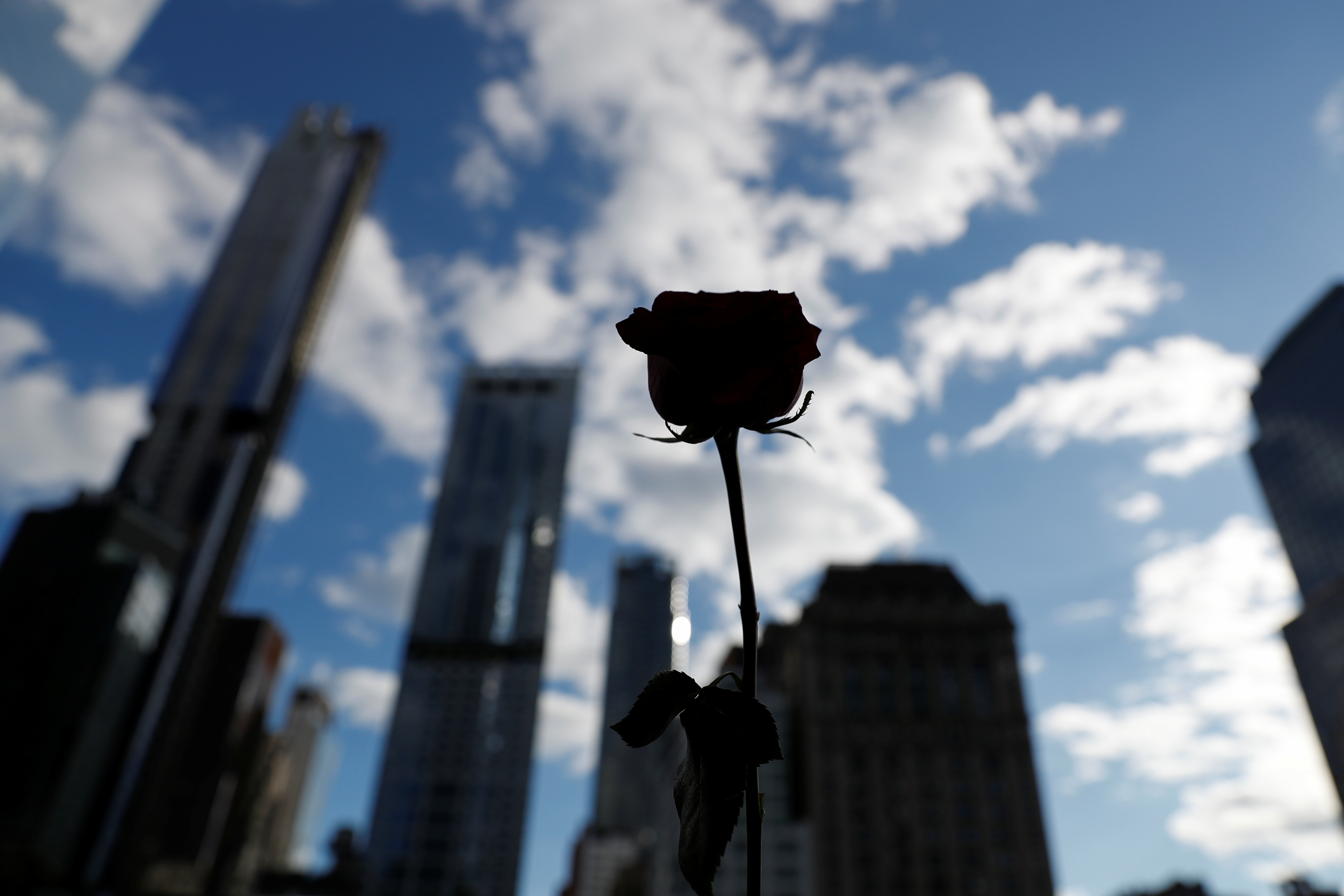 A flower seen in silhouette stands on the south reflecting pool at the 9/11 Memorial site in the lower section of Manhattan, New York City