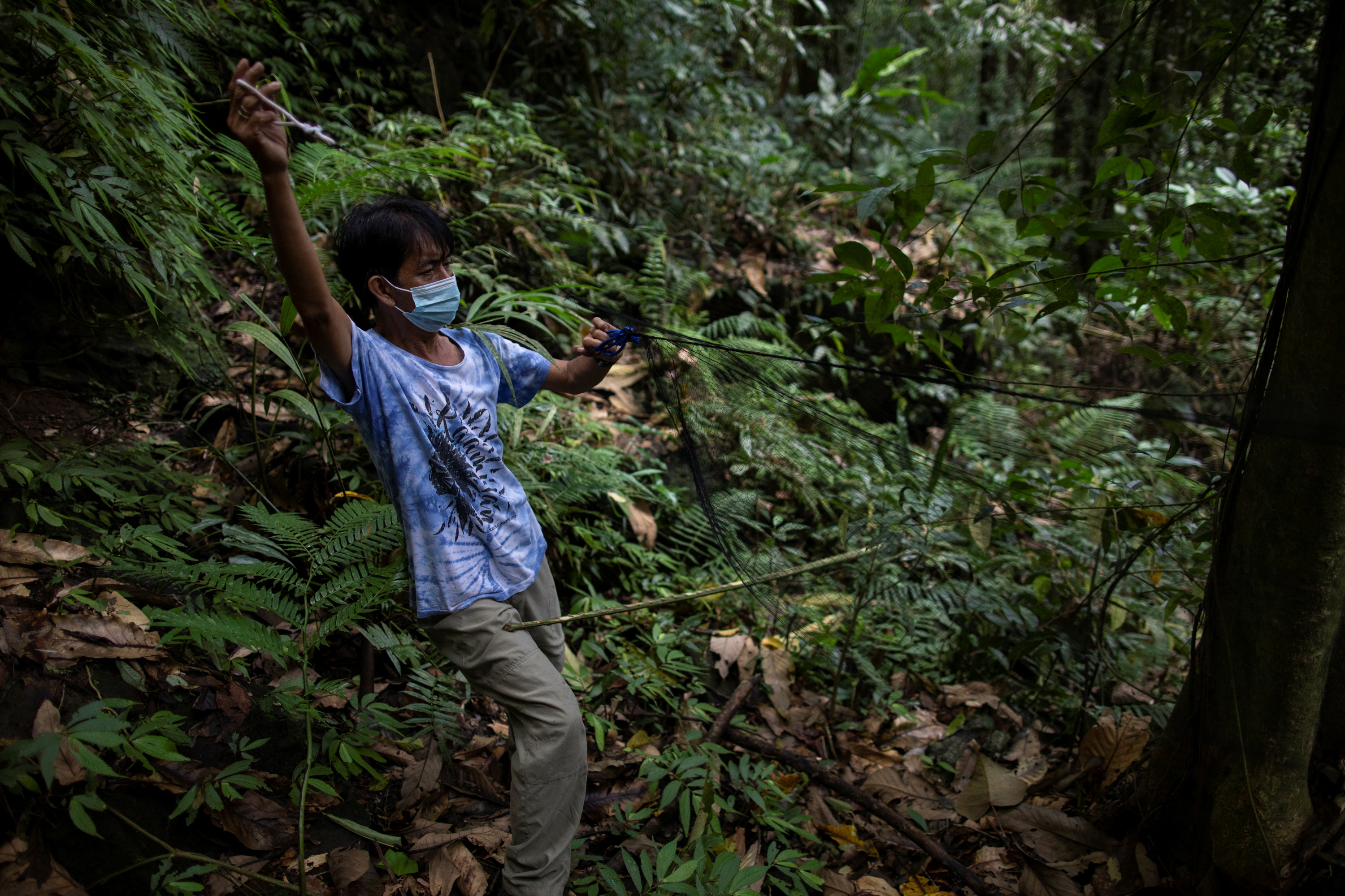 The Wider Image: By catching bats, these 'virus hunters' hope to stop the next pandemic