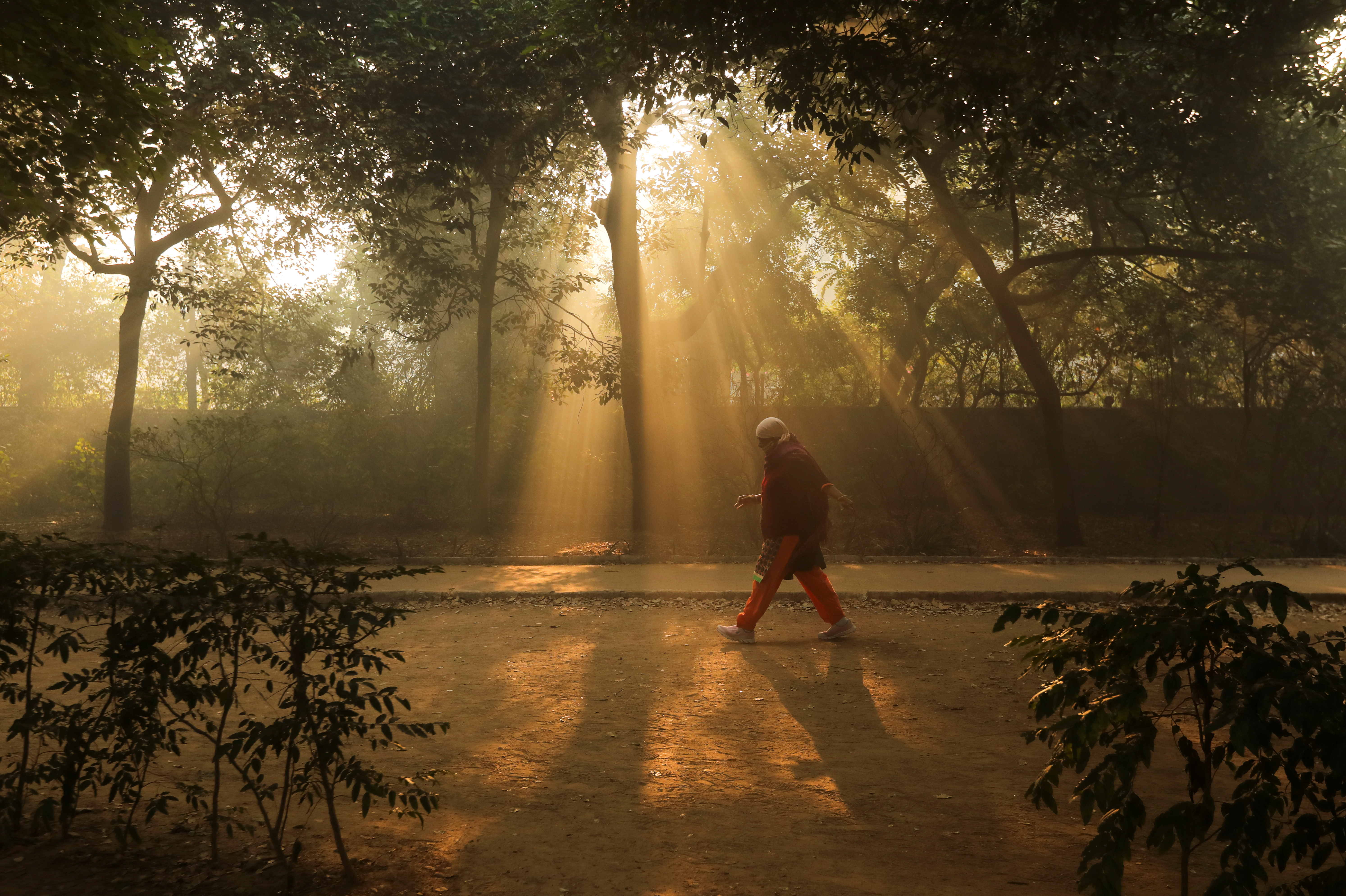 A woman walks in a garden on a smoggy morning in New Delhi, India, December 23, 2020. REUTERS/Anushree Fadnavis