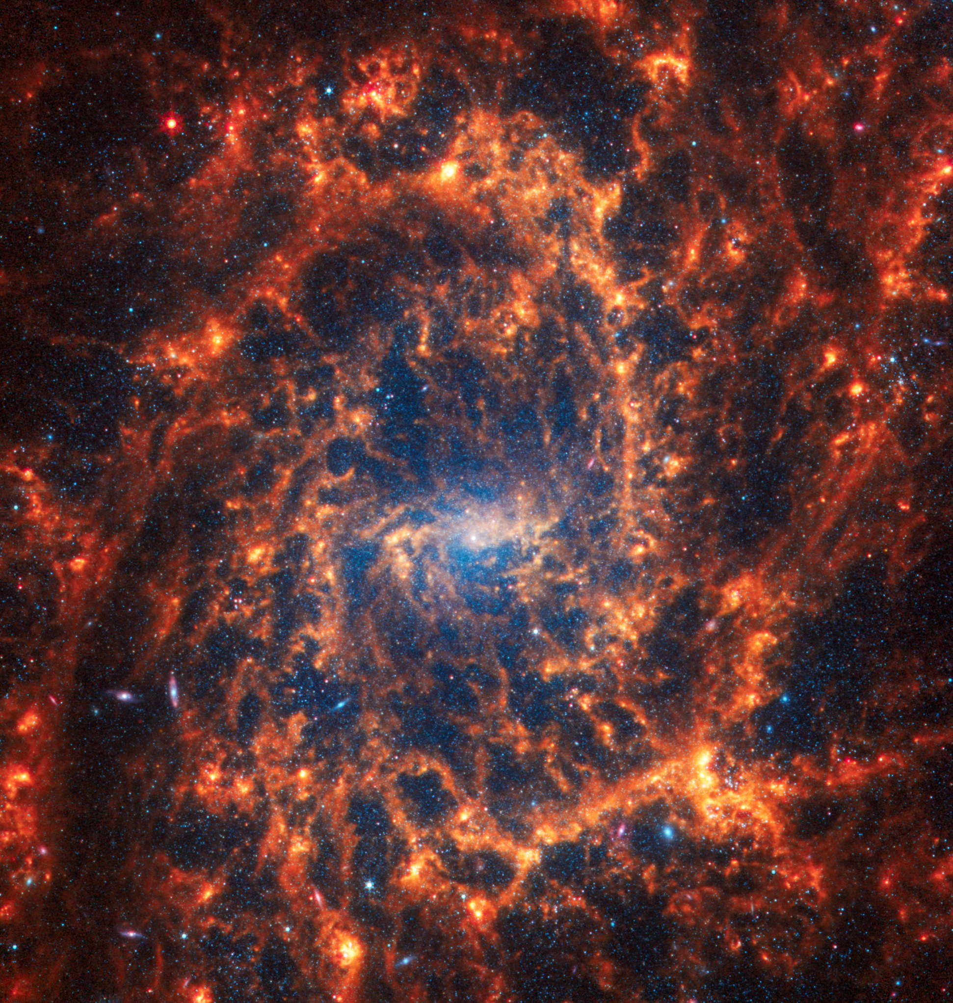 Spiral galaxy NGC 2835, located 35 million light-years away from Earth, is seen in an image from the James Webb Space Telescope