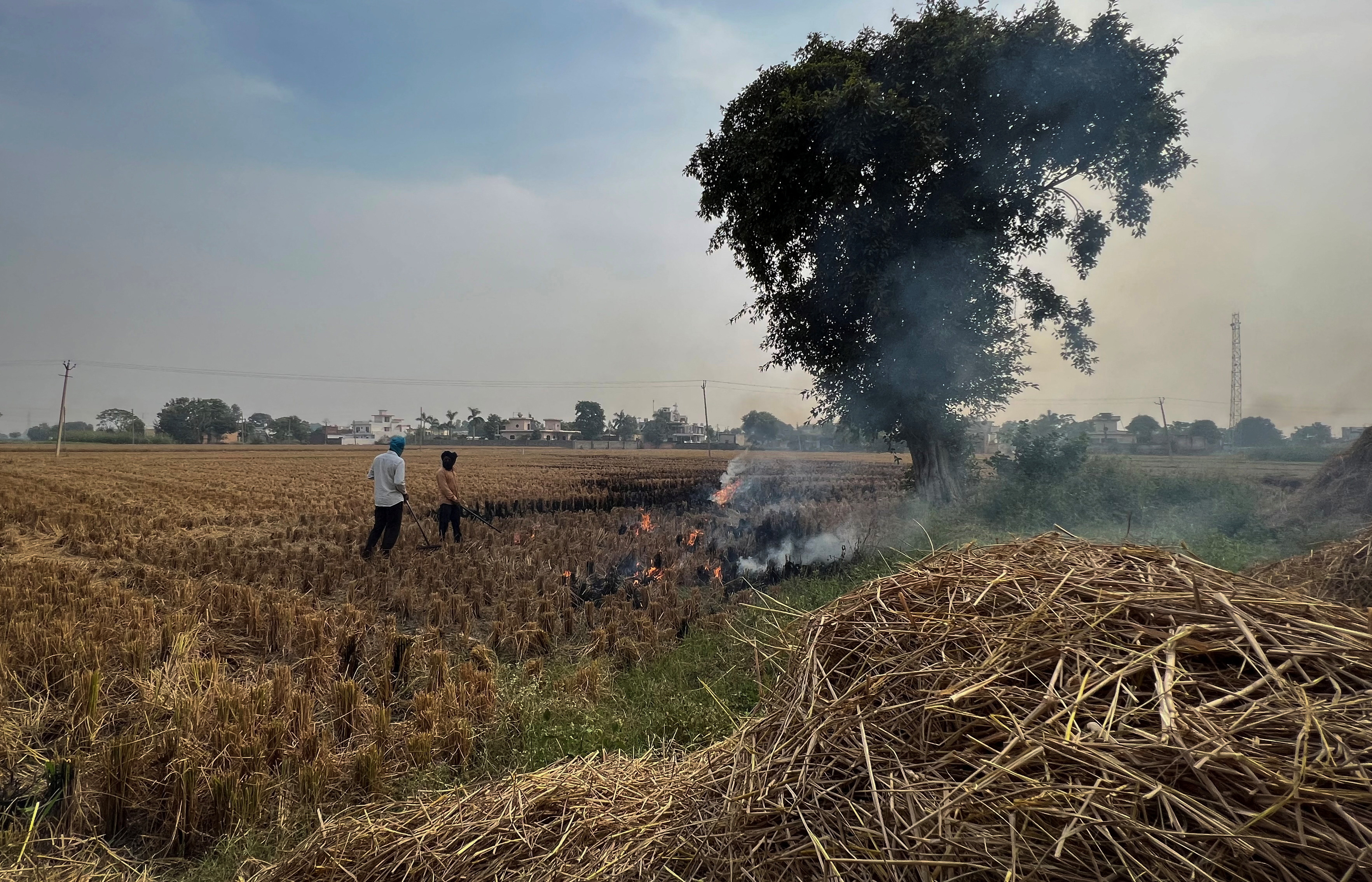 Farmers cite lack of options as stubble burning turns air toxic in