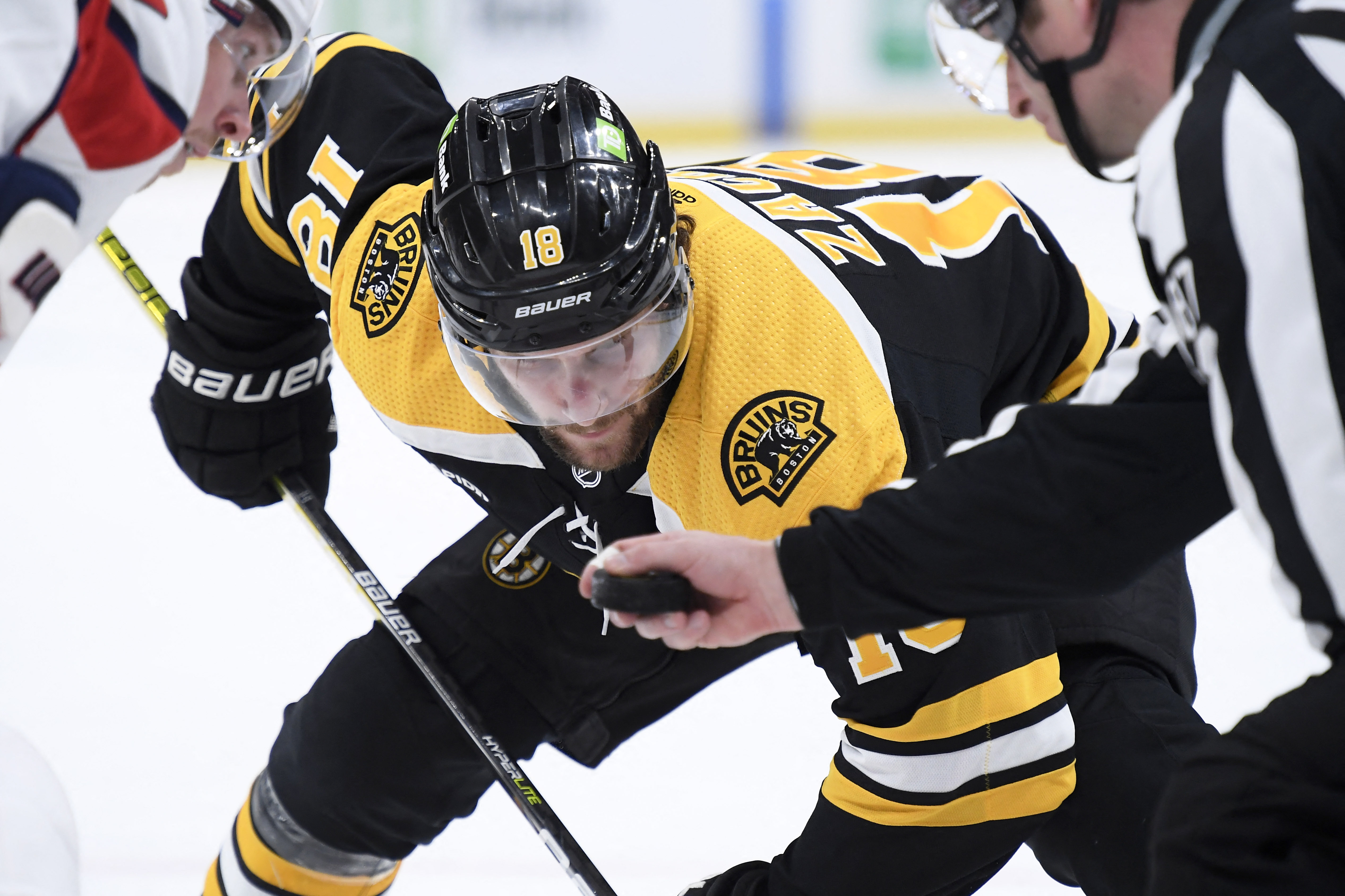 Boston Bruins Break NHL's Single-Season Points Record - The Hockey