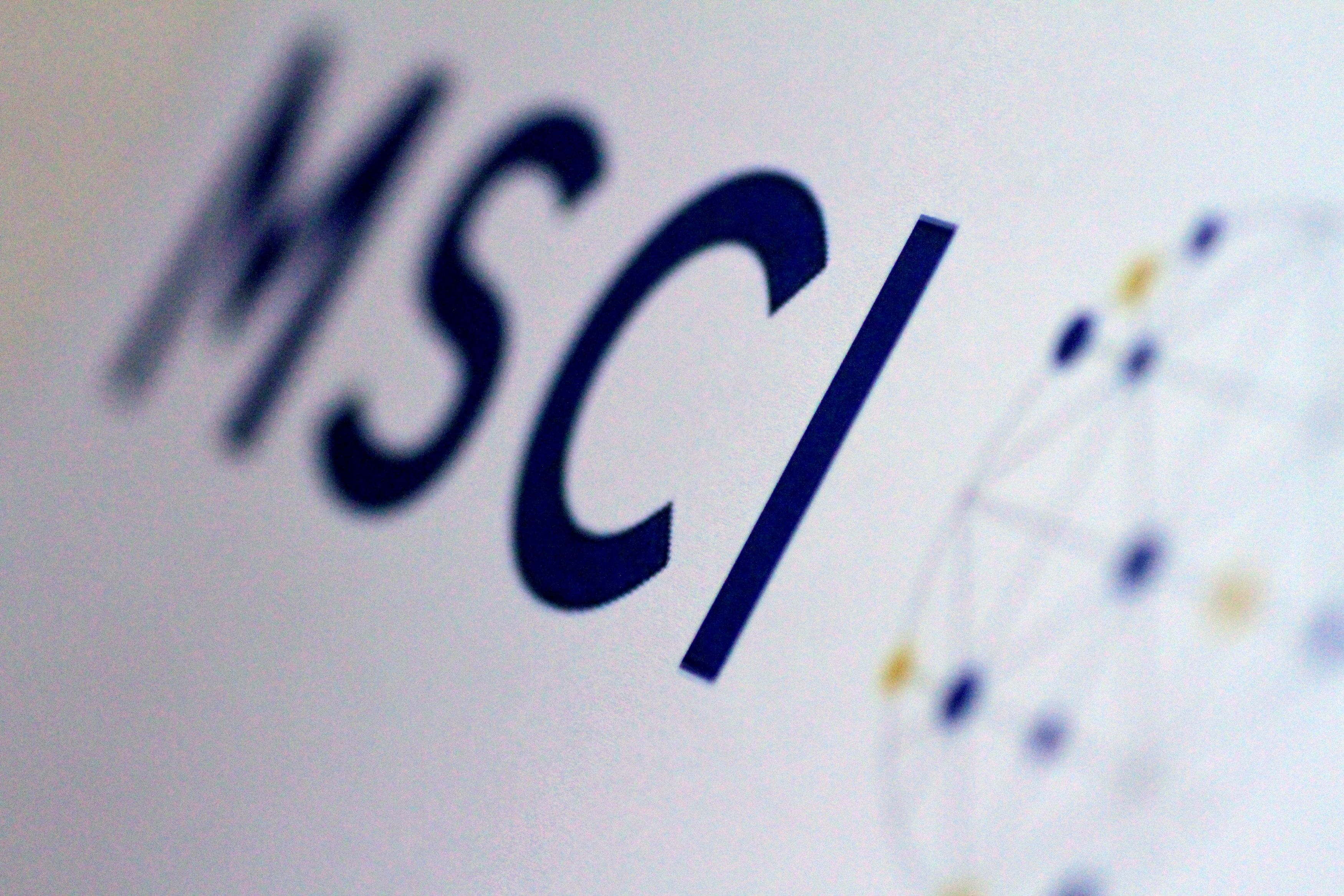 The MSCI logo is seen in this June 20, 2017 illustration photo. REUTERS/Thomas White/Illustration/File Photo