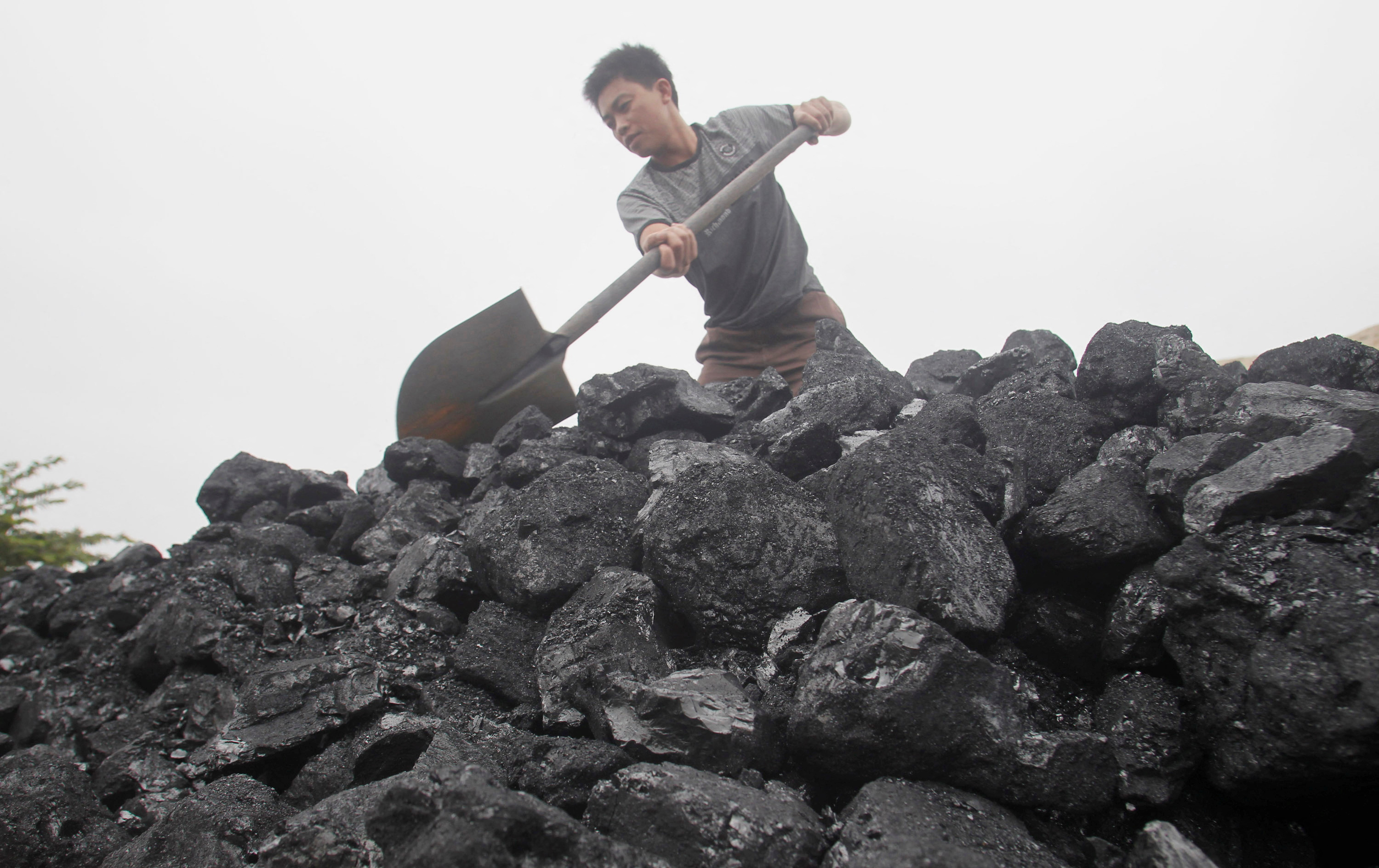 A worker shovels coal as he loads a truck at a coal port in Hanoi