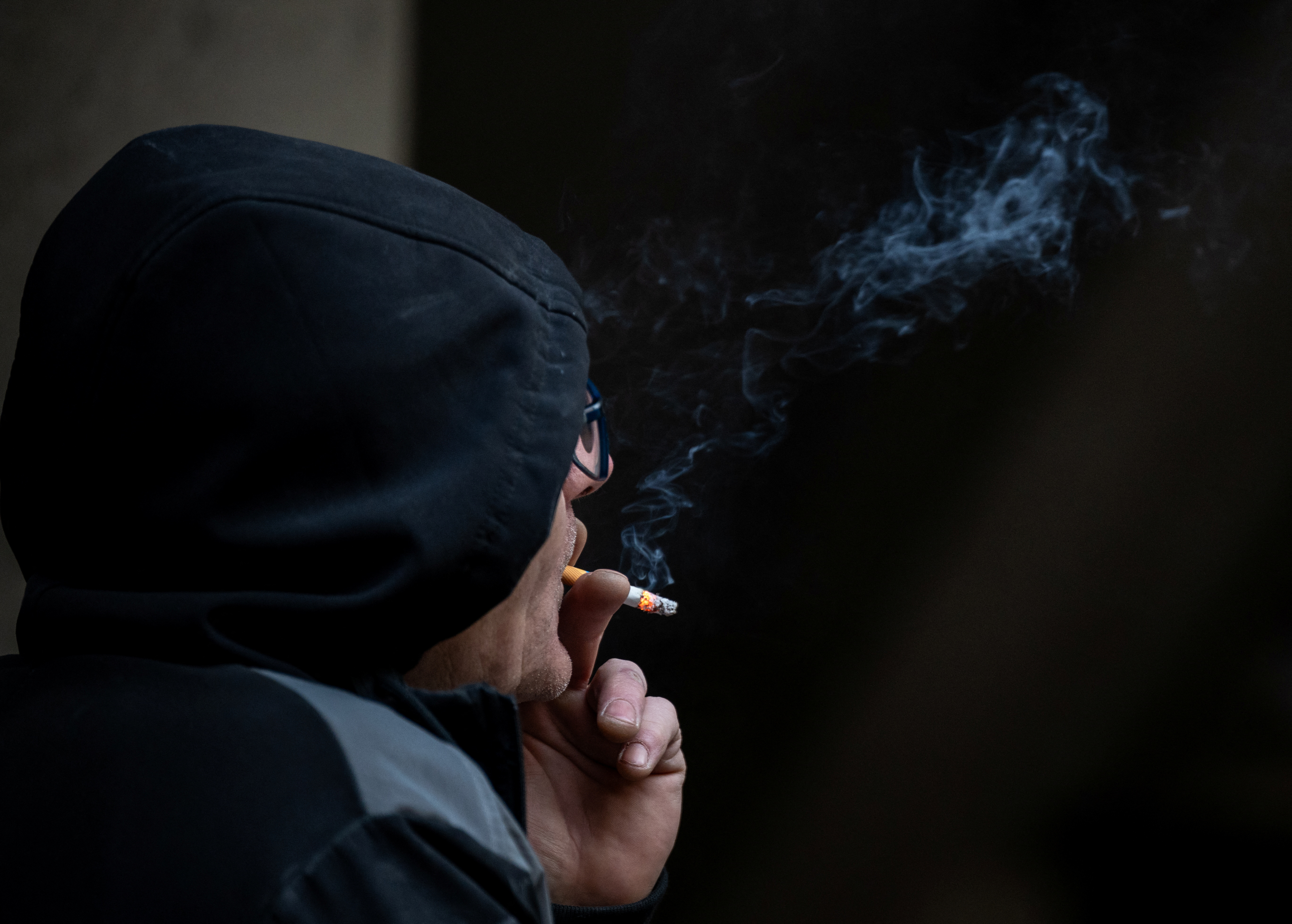 dog ate cigarette Nicotine Poisoning in Pets