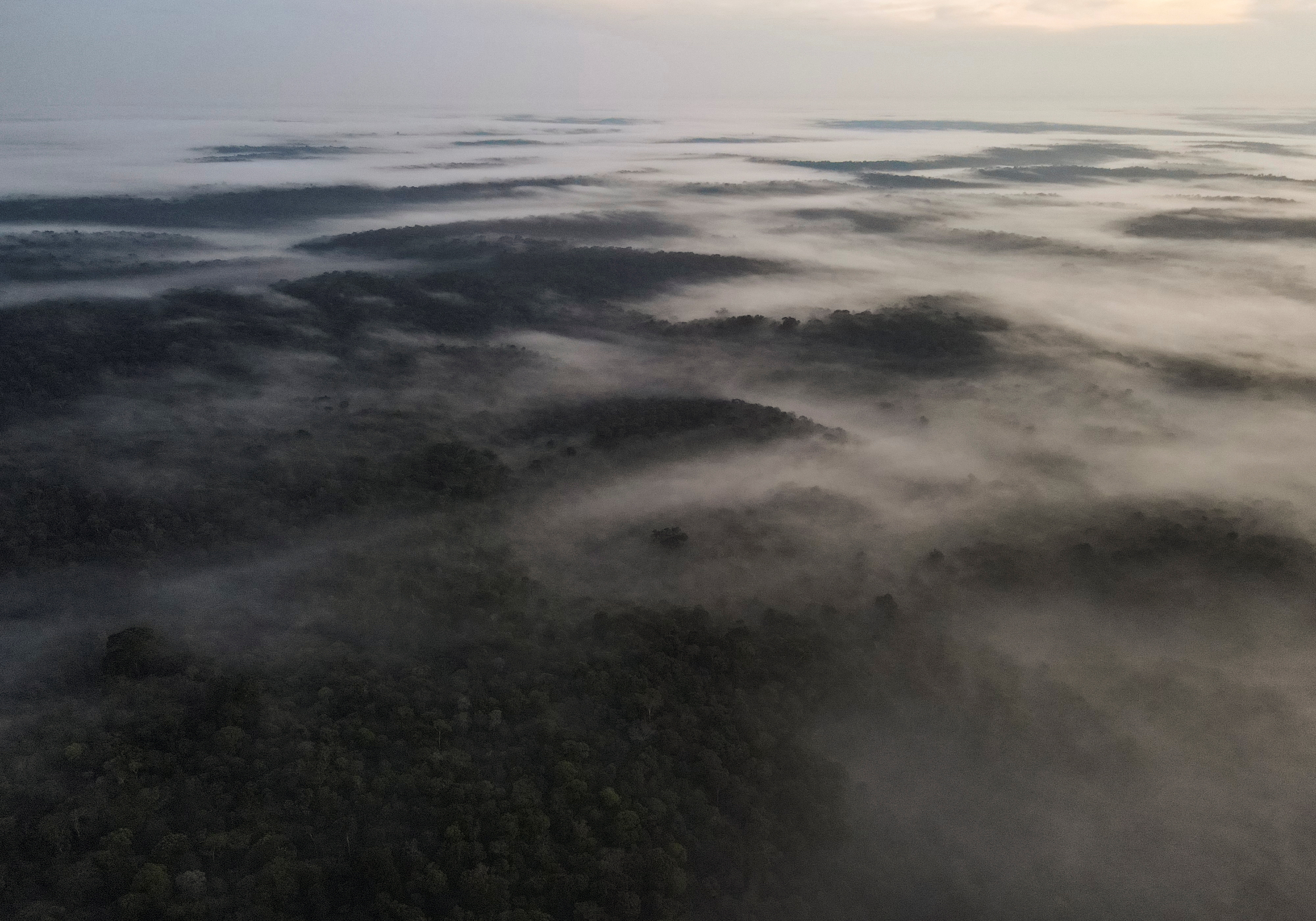 An aerial view shows trees and fog at the Amazon rainforest in Manaus