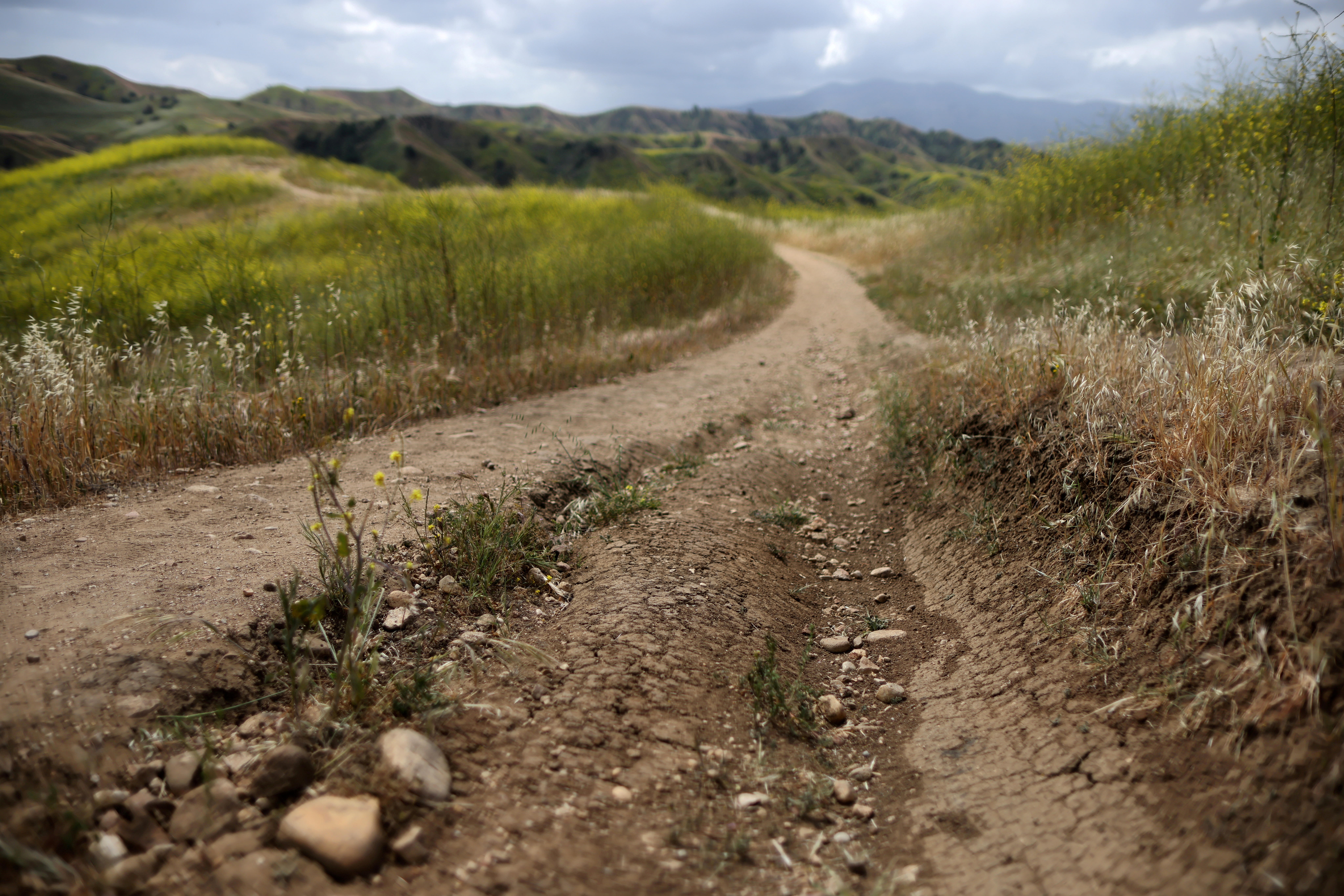 FILE PHOTO: Dried mud is seen on the path in the burn zone of Chino Hills State Park, as California faces a drought, in Chino Hills