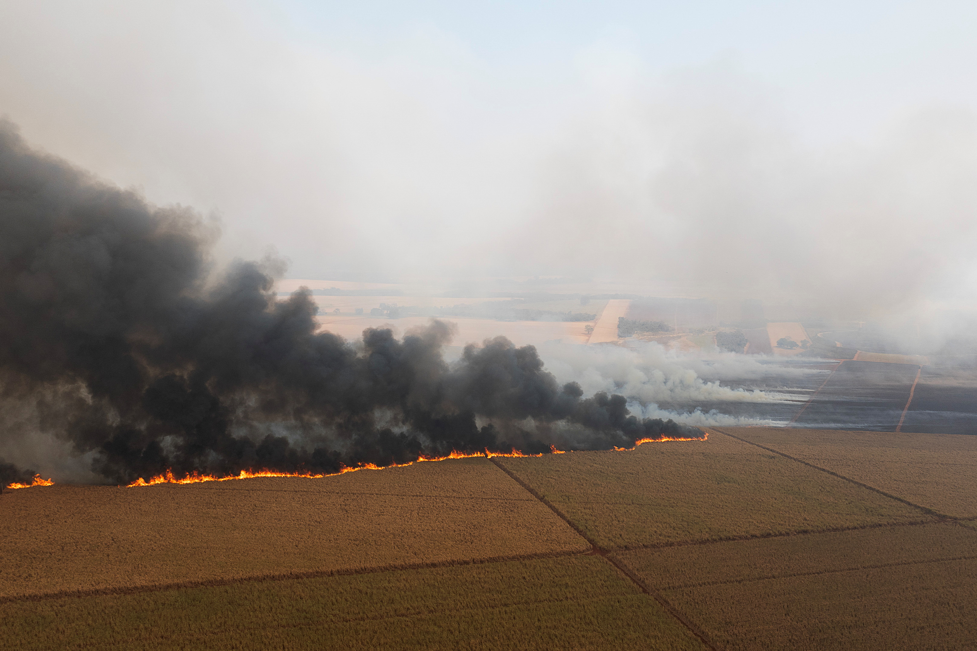 Wildfires affecting 30 cities in Brazil's Sao Paulo state