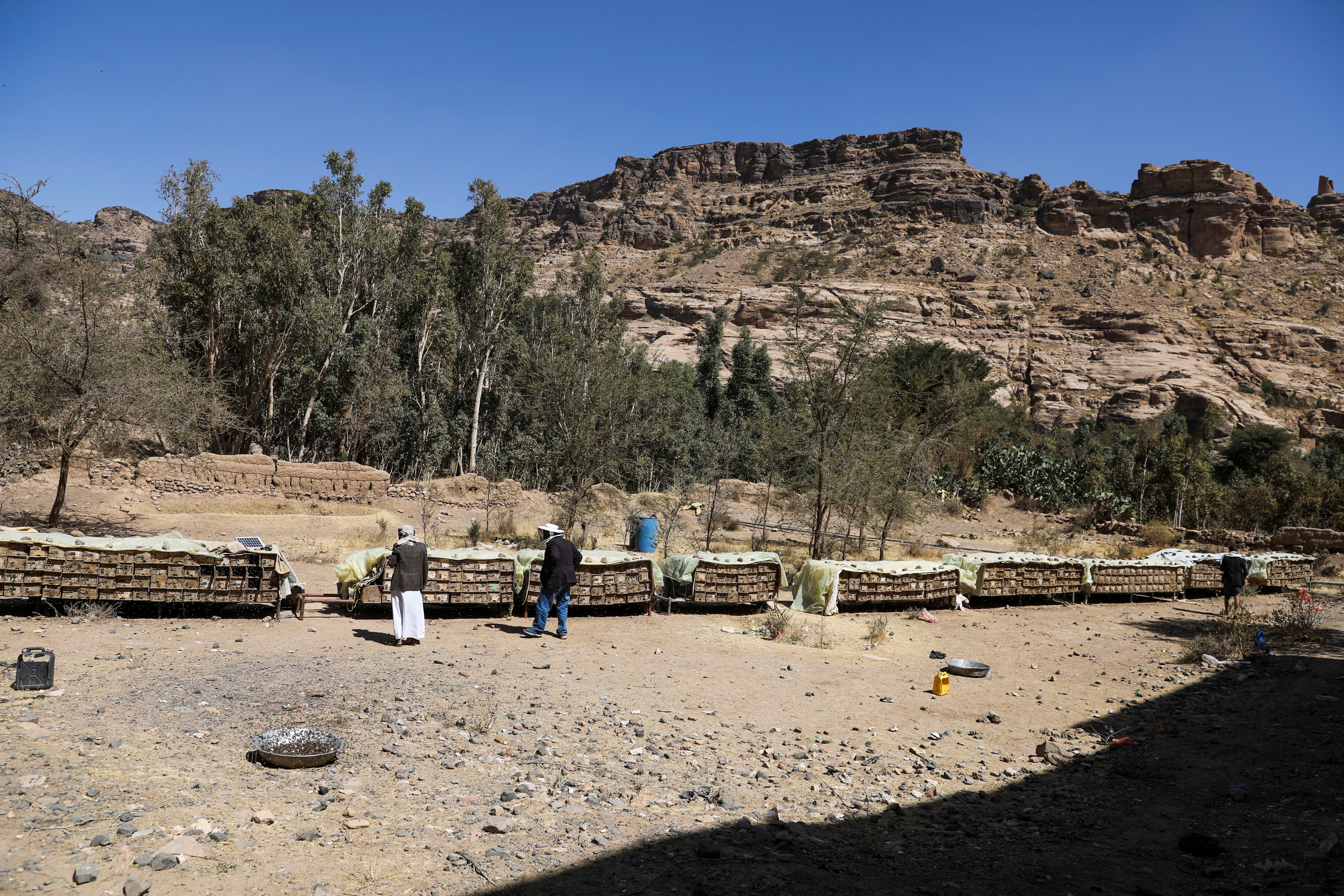 Los apicultores revisan las colmenas en las afueras de Wadi Dhahr en Sanaa, Yemen, 30 de enero de 2022. Foto tomada el 30 de enero de 2022. REUTERS/Khaled Abdullah