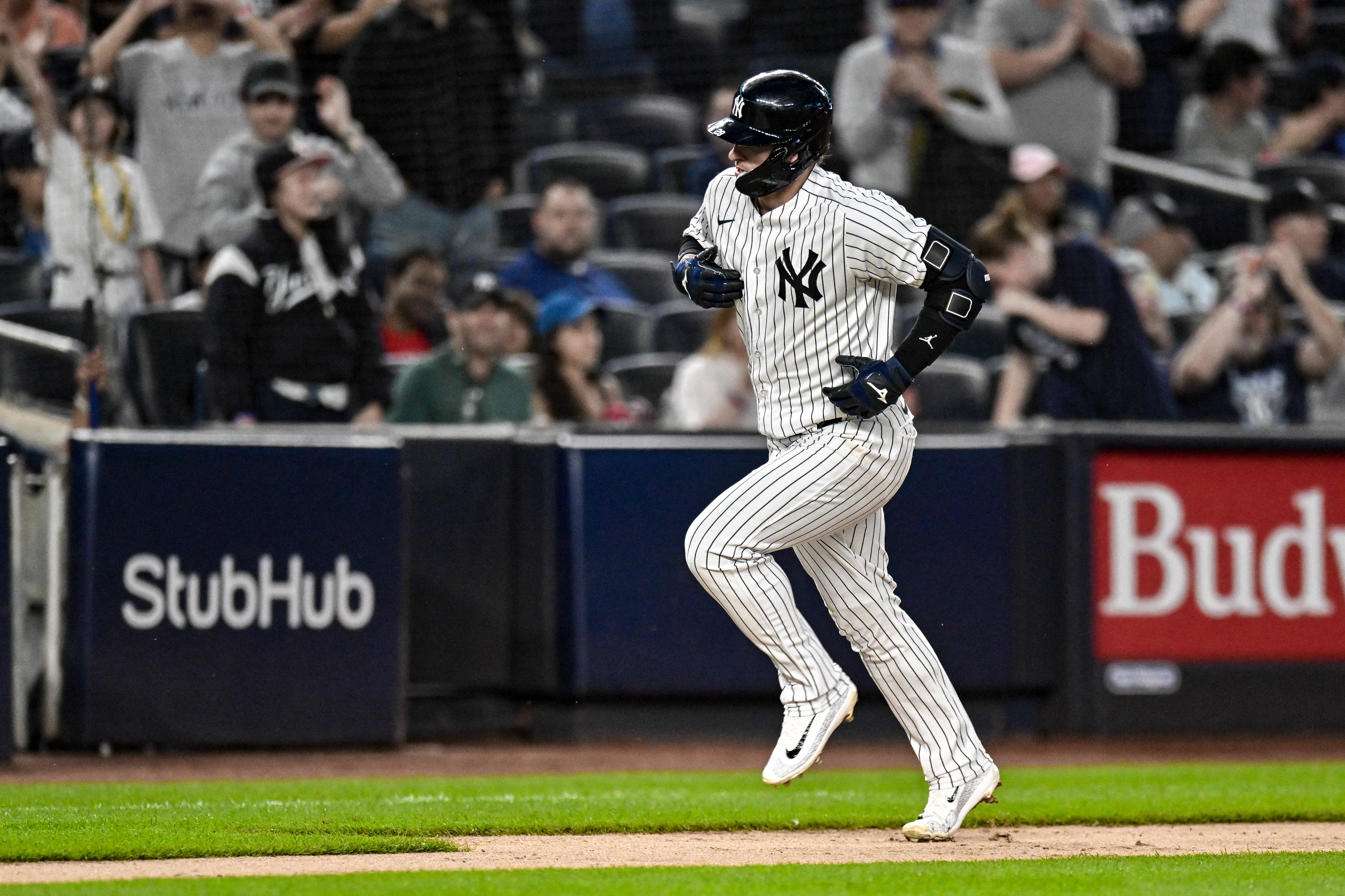 Aaron Judge and Gleyber Torres Hung Out With a Bat Dog on Tuesday