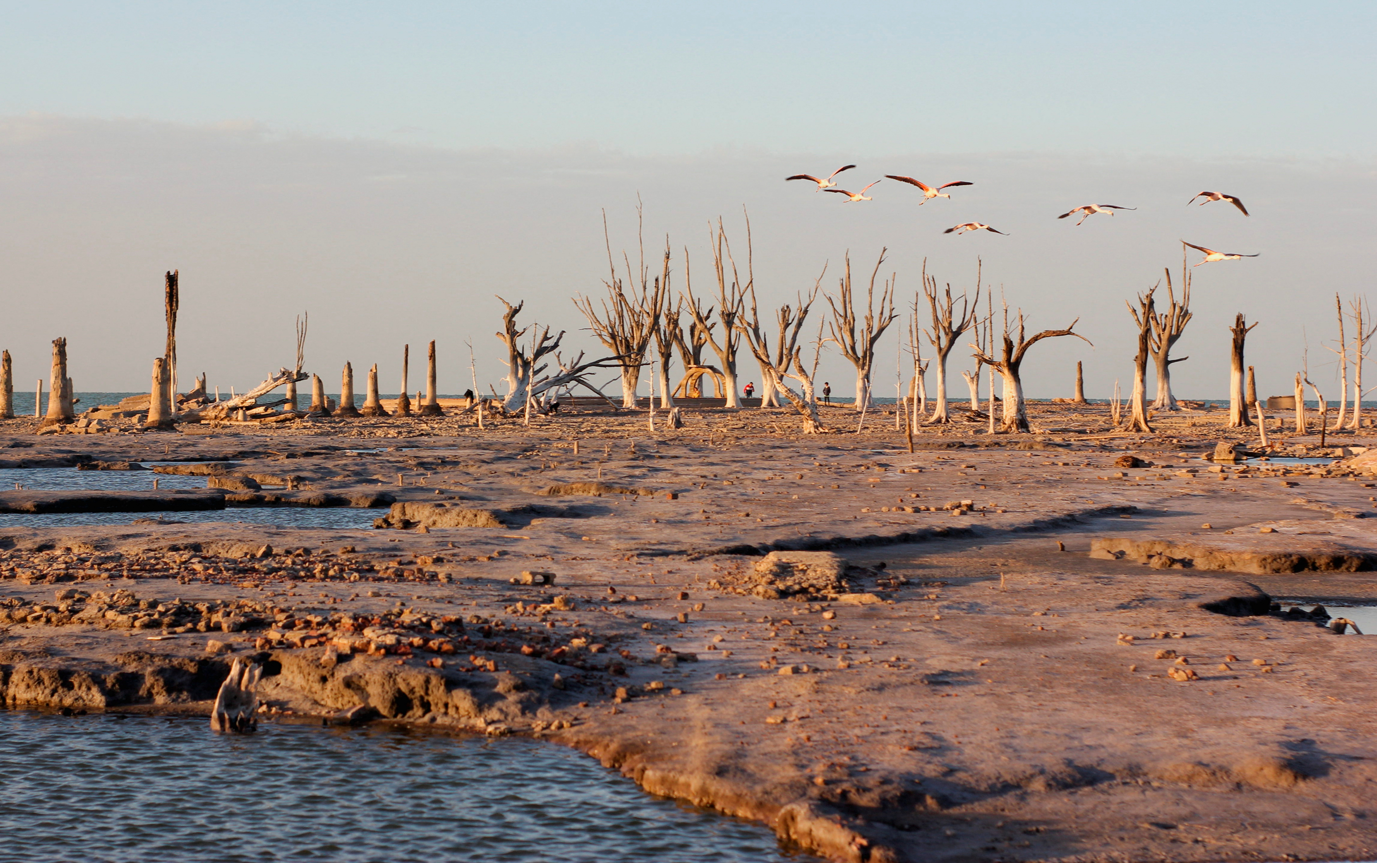 Argentina's severe drought affects landscapes