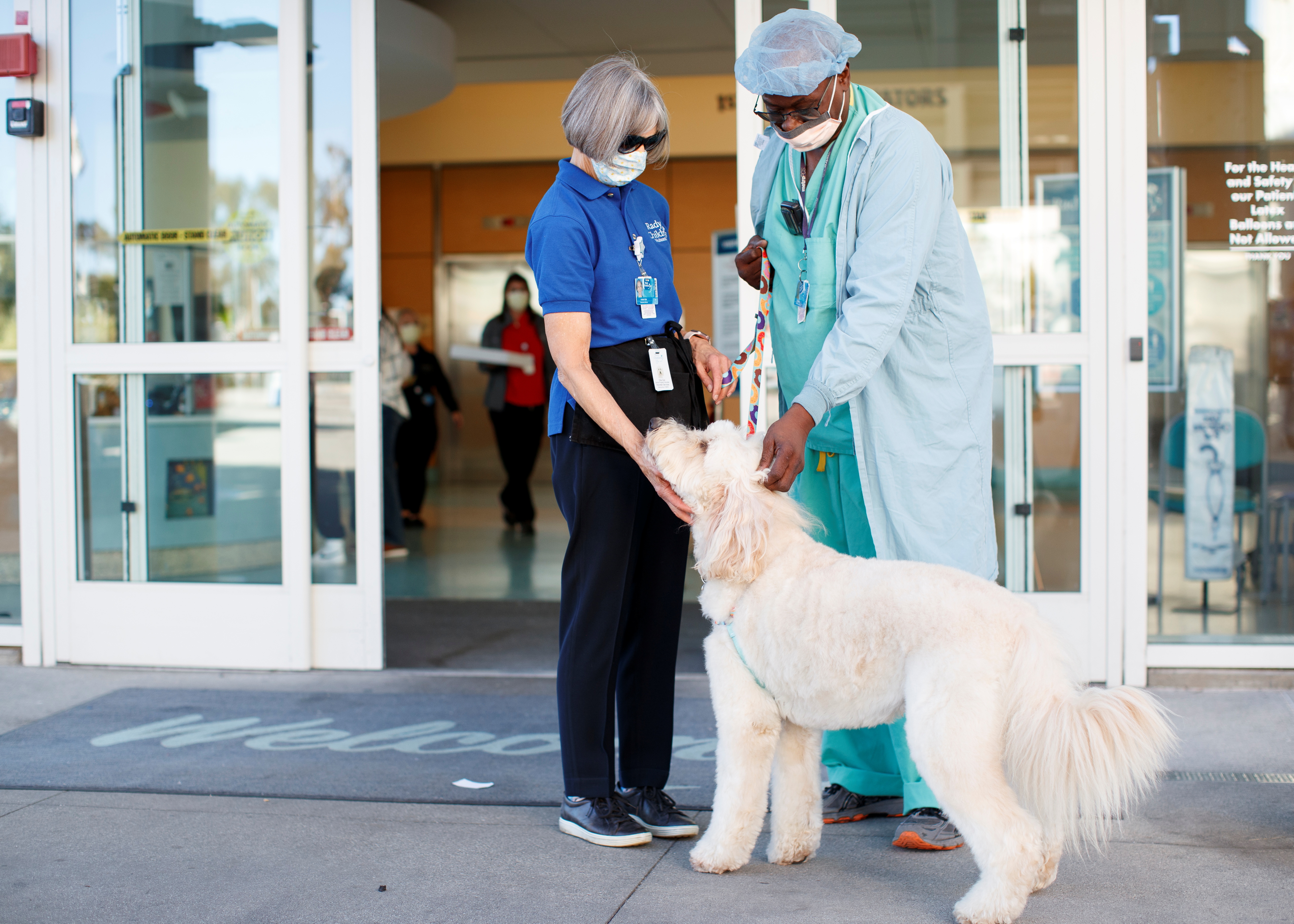 Ollie the dog returns to greet children in a hospital as COVID-19 restriction ease in California
