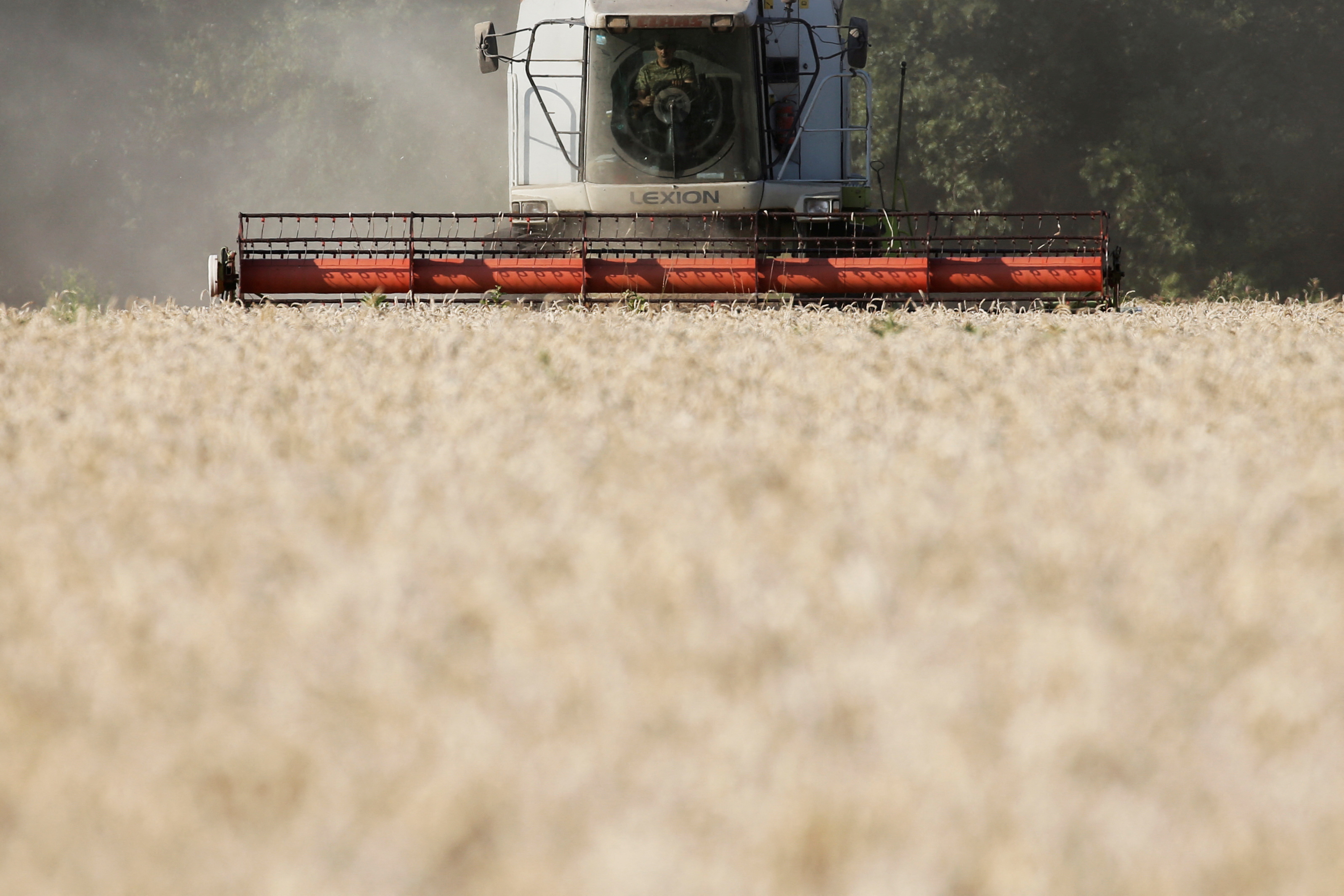 An employee operates a combine as he harvests wheat in a field in Kyiv region