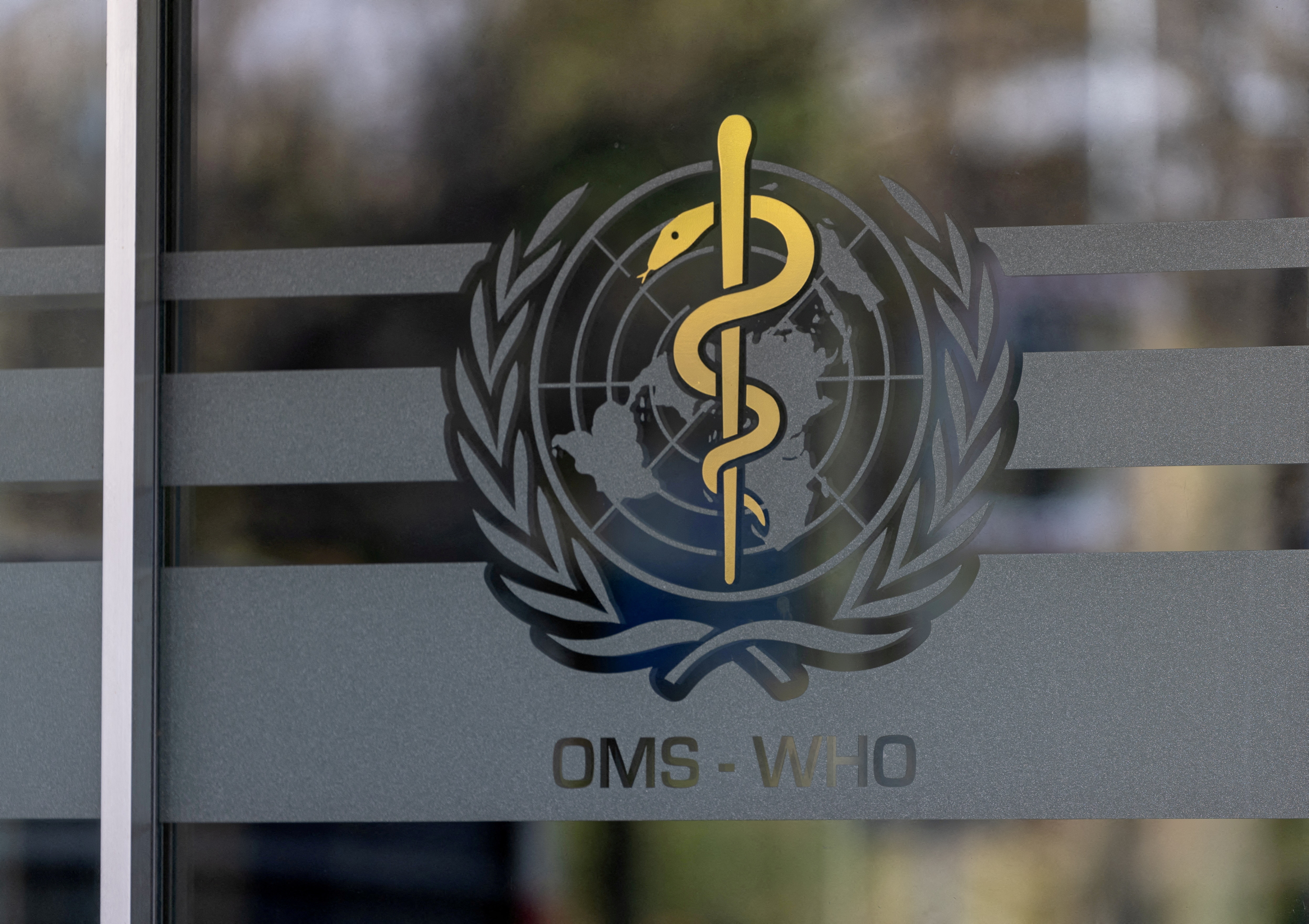 glp-1 news reuters october 2025 WHO backs use of GLP-1 therapies for obesity, warns access will remain  limited