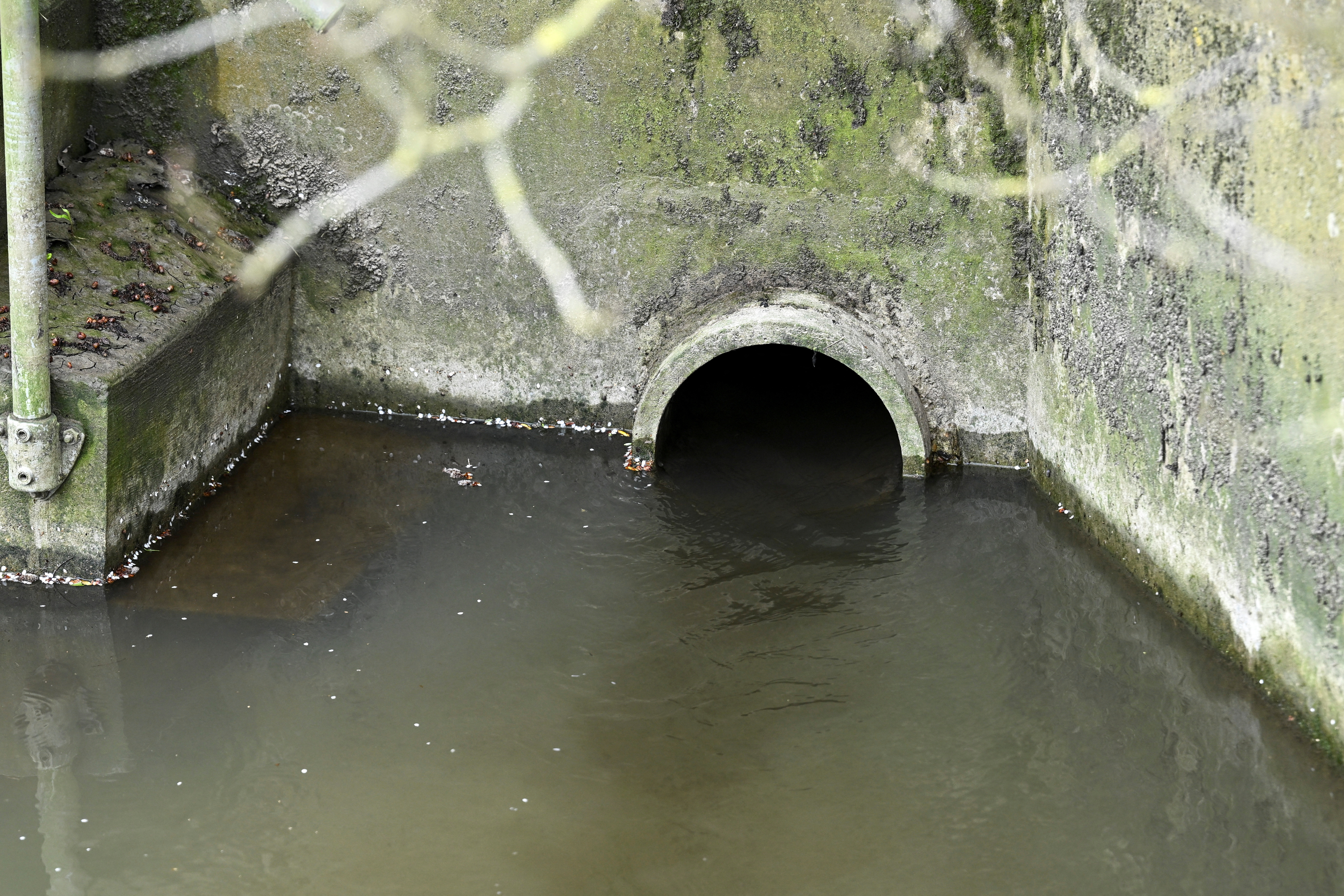 Untreated sewage is discharged from Thames Water treatment works, near Chalgrove