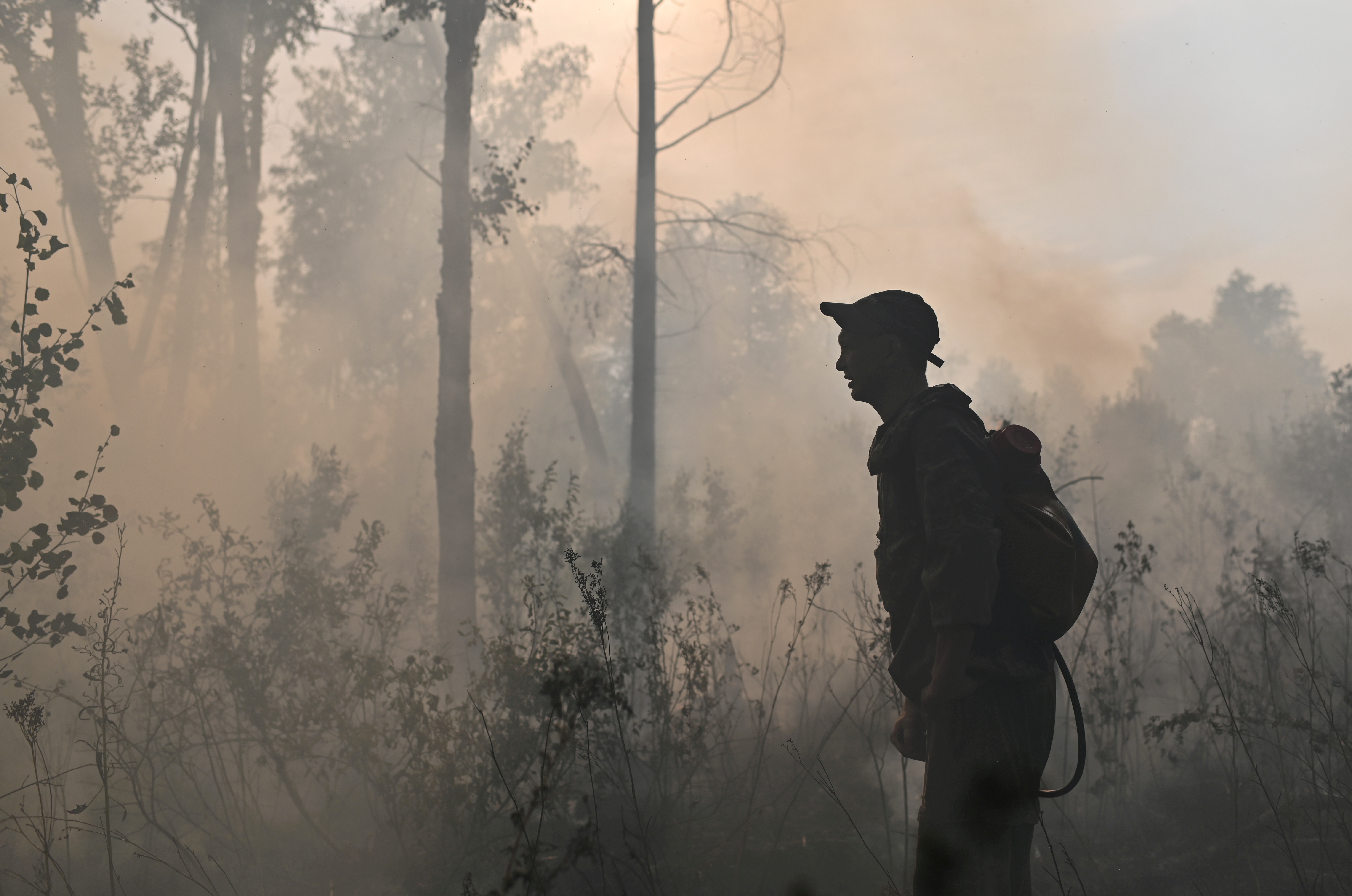Specialists put out a forest fire in Omsk Region