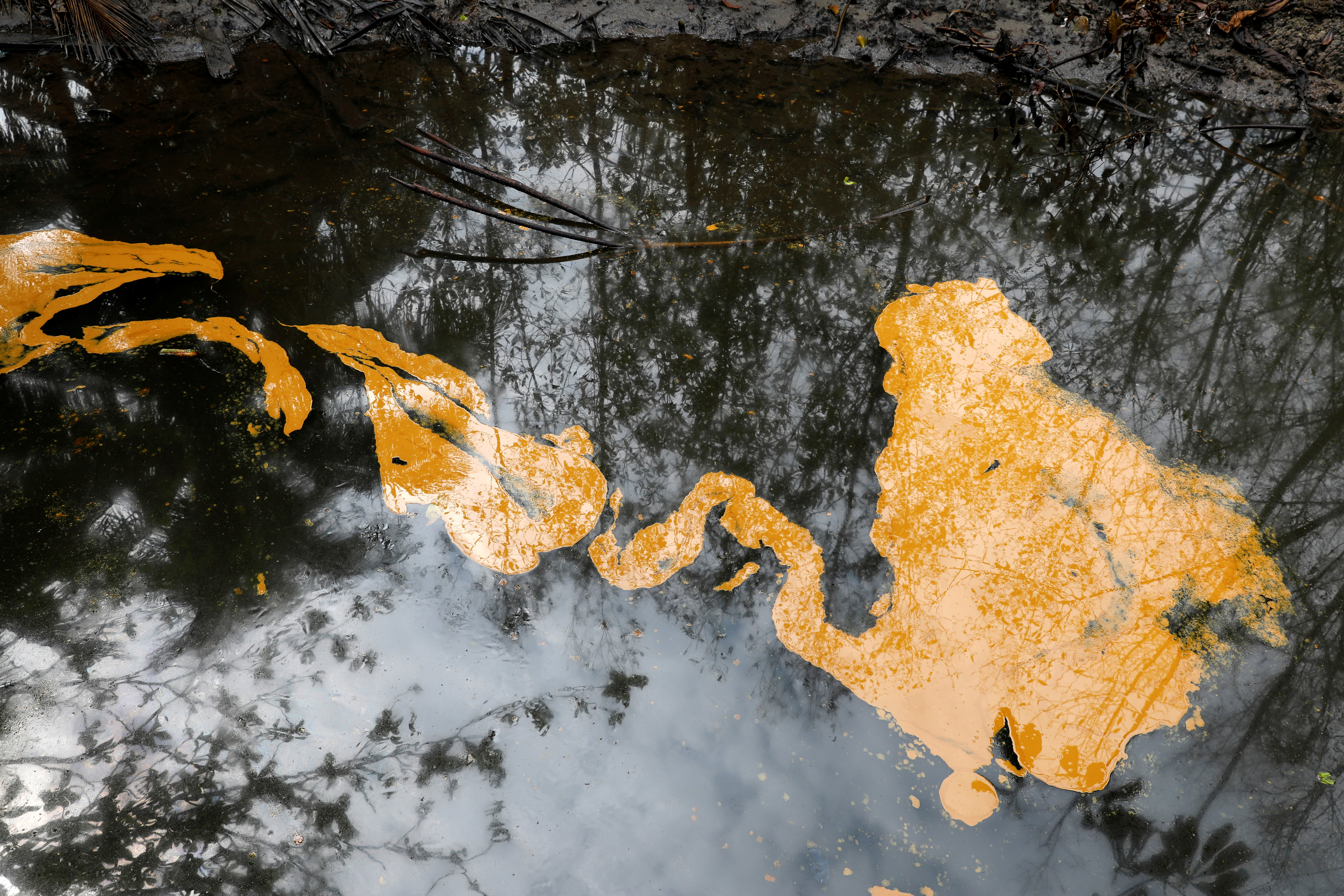 Nigeria needs $12 billion to clean up Bayelsa oil spills - report