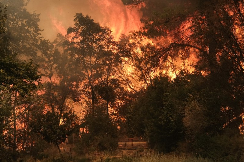 Wildfire burns in Nea Penteli, near Athens