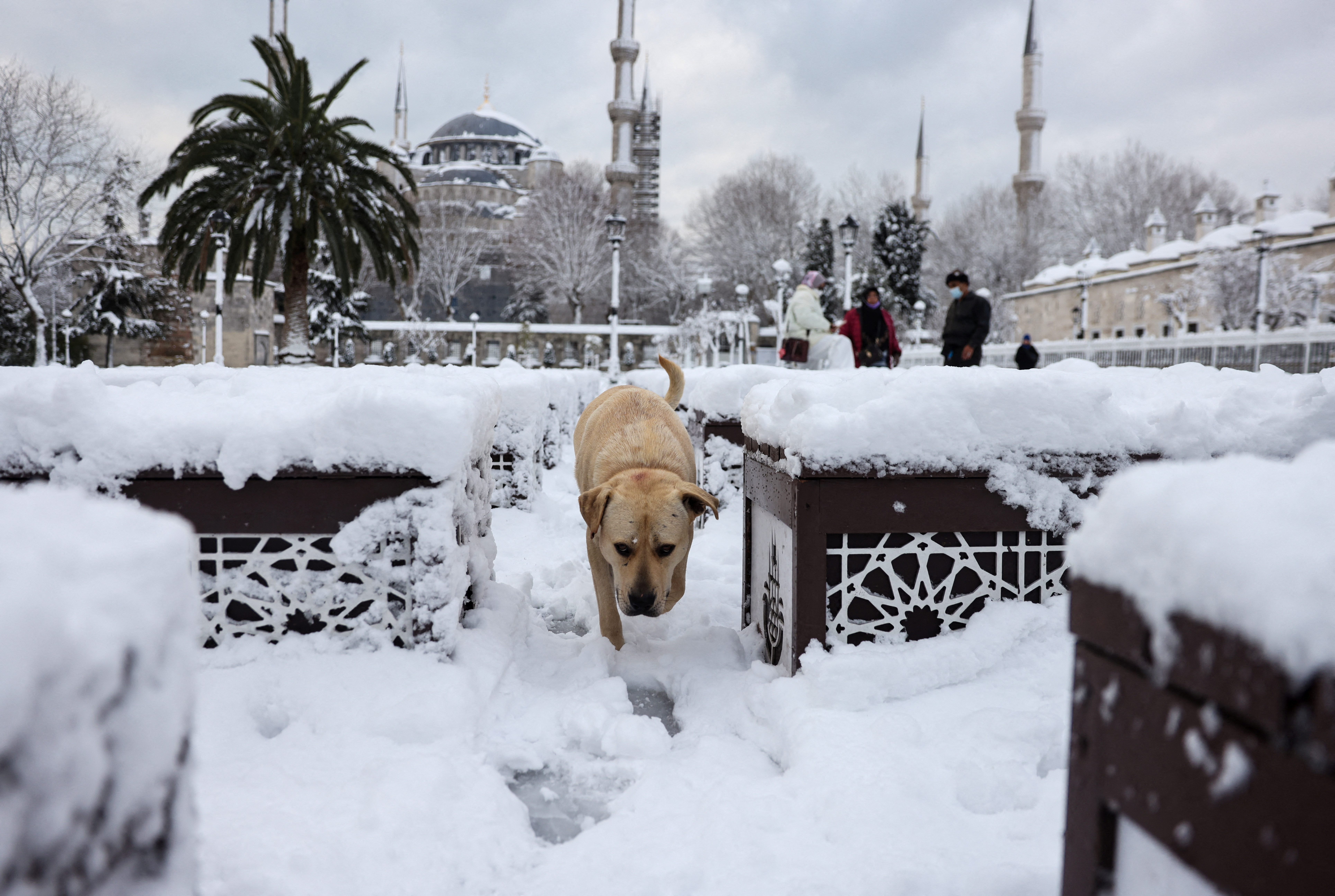Heavy snowfall in Istanbul