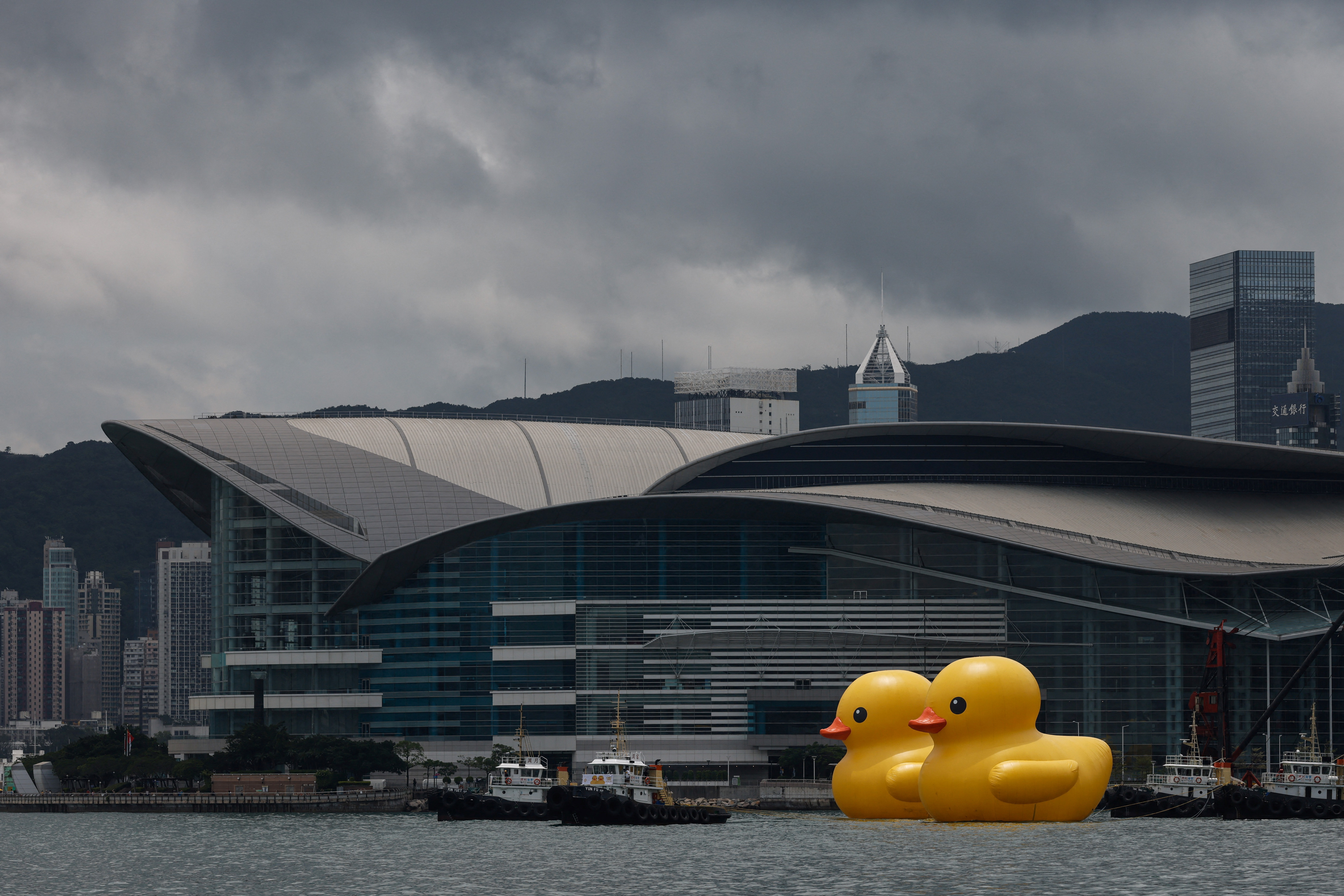 Hong Kong's giant rubber duck