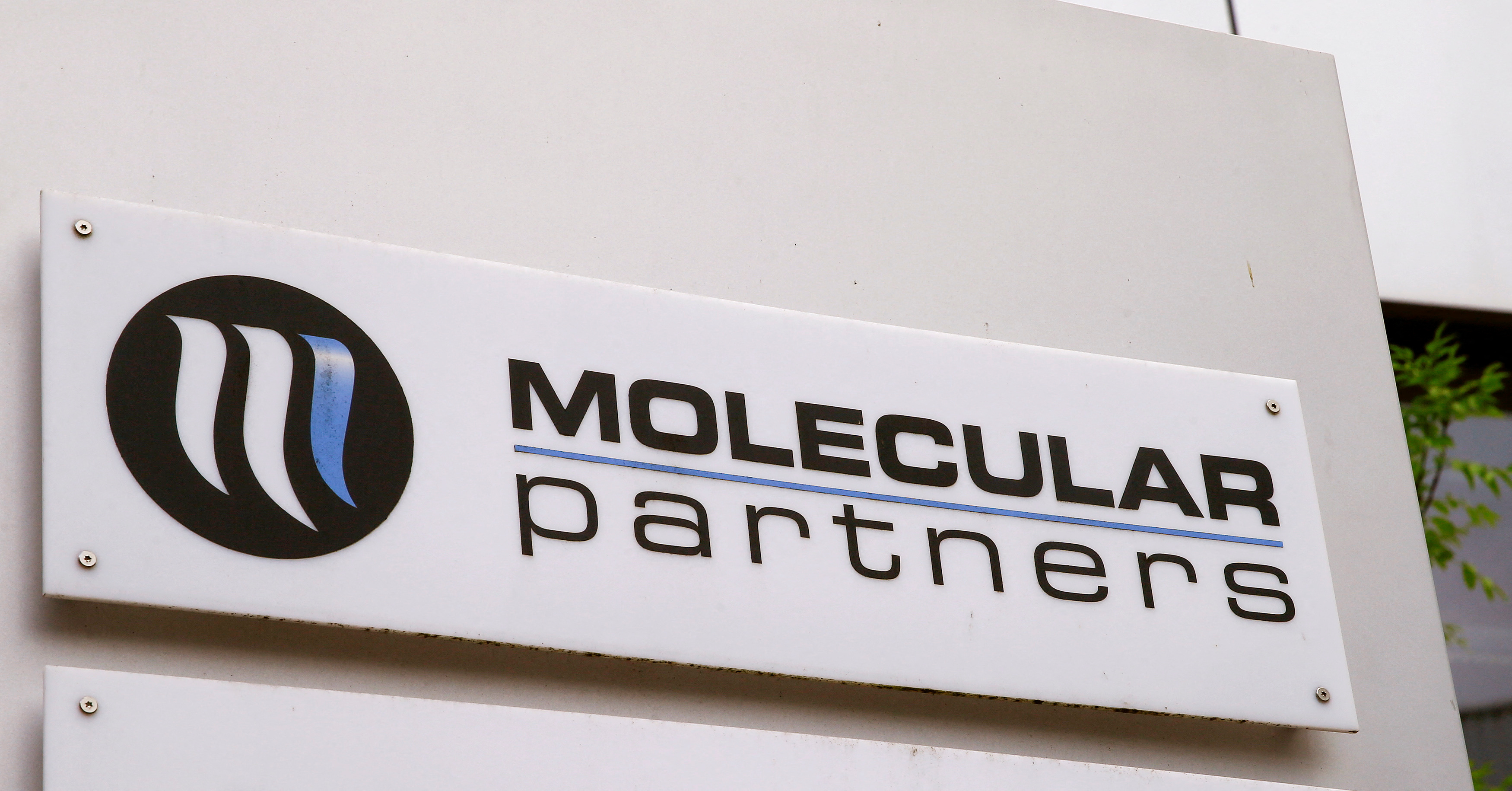 Logo of Molecular Partners is seen in Schlieren