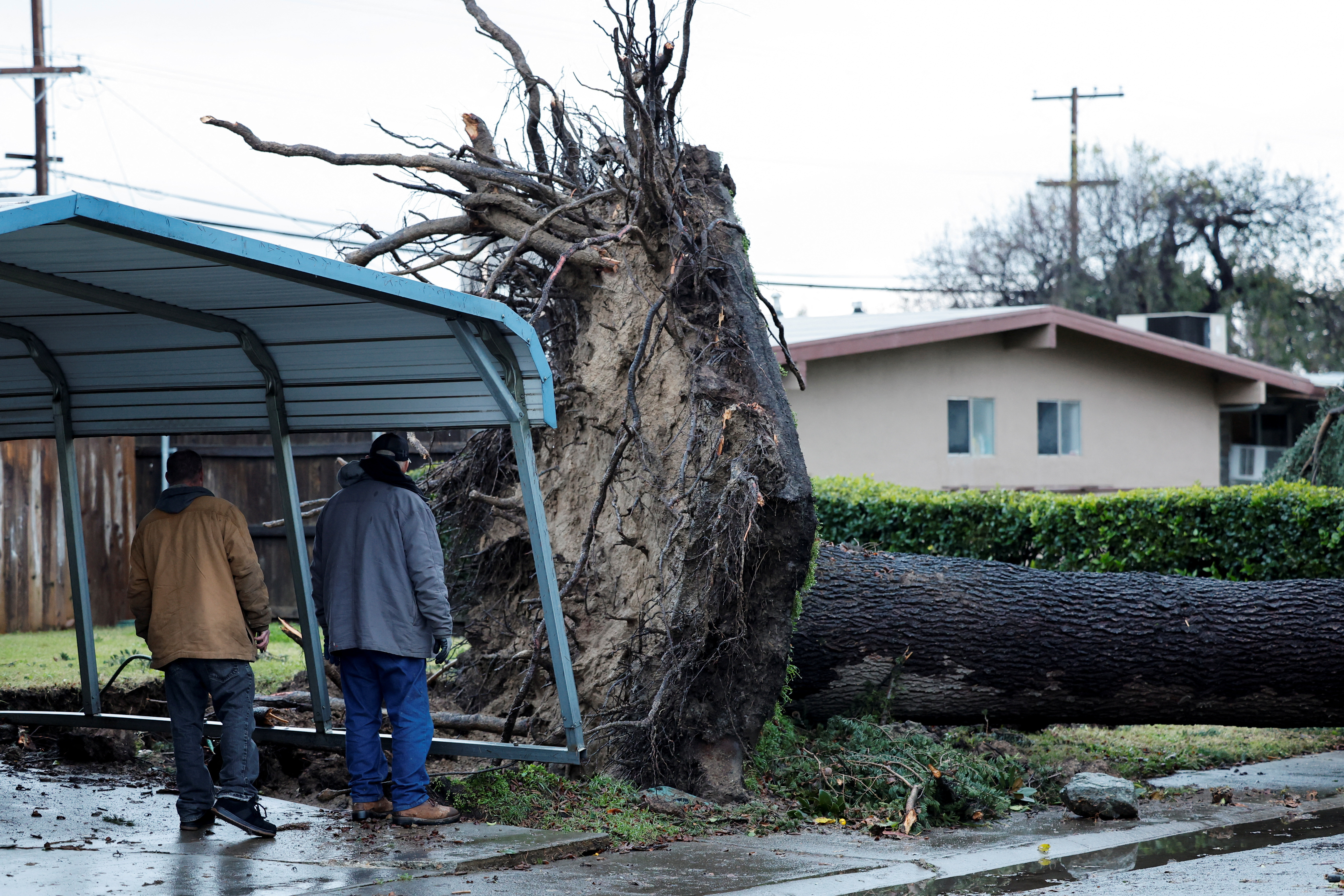 A tree blocks a roadway after it fell in high winds during a winter storm in West Sacramento