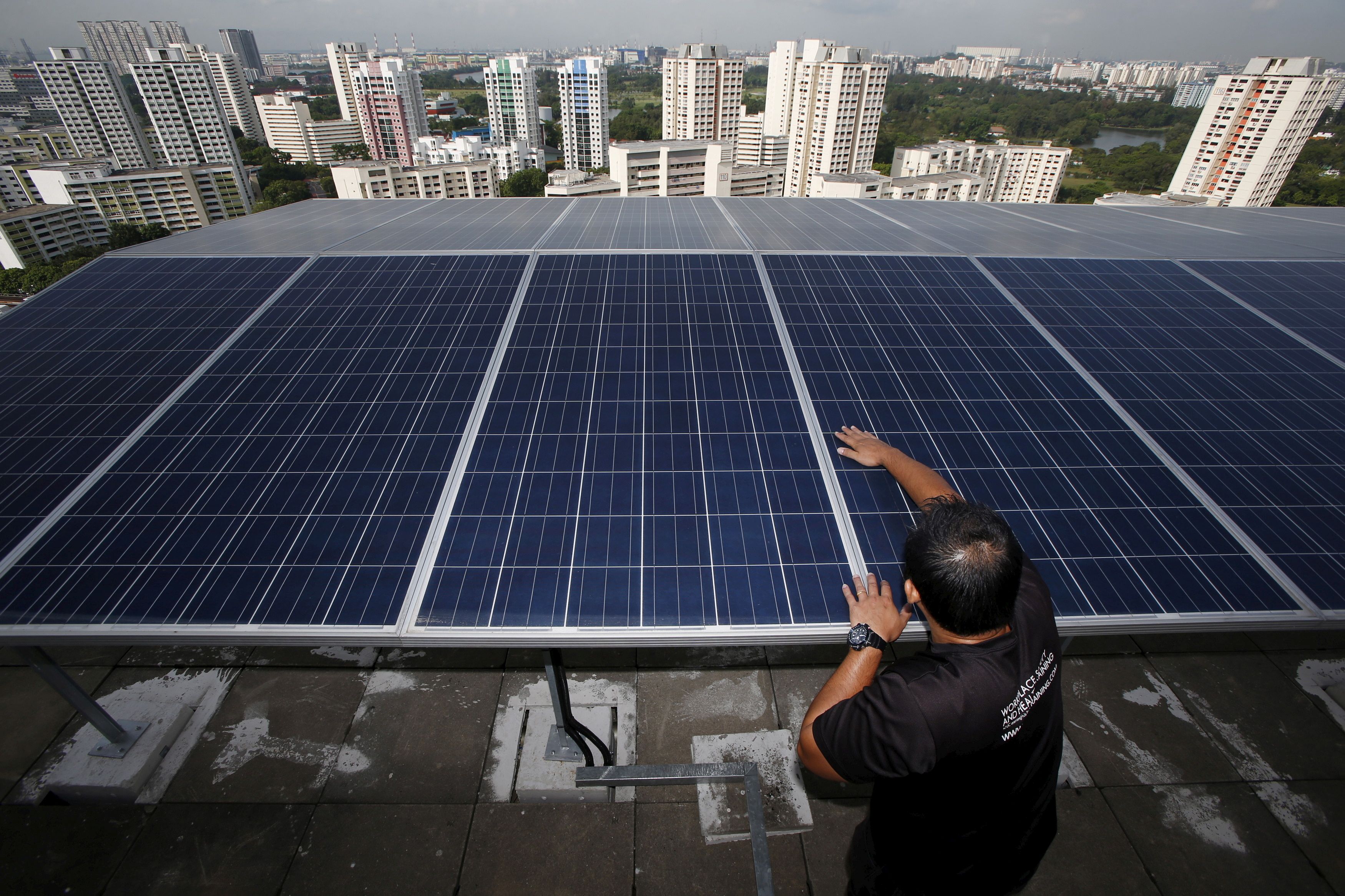 Maintenance officer Wilson Ting of Sunseap Leasing inspects photovoltaic solar modules on top of a block of Housing Development Board (HDB) public housing estate apartments in Singapore April 15, 2015. REUTERS/Edgar Su