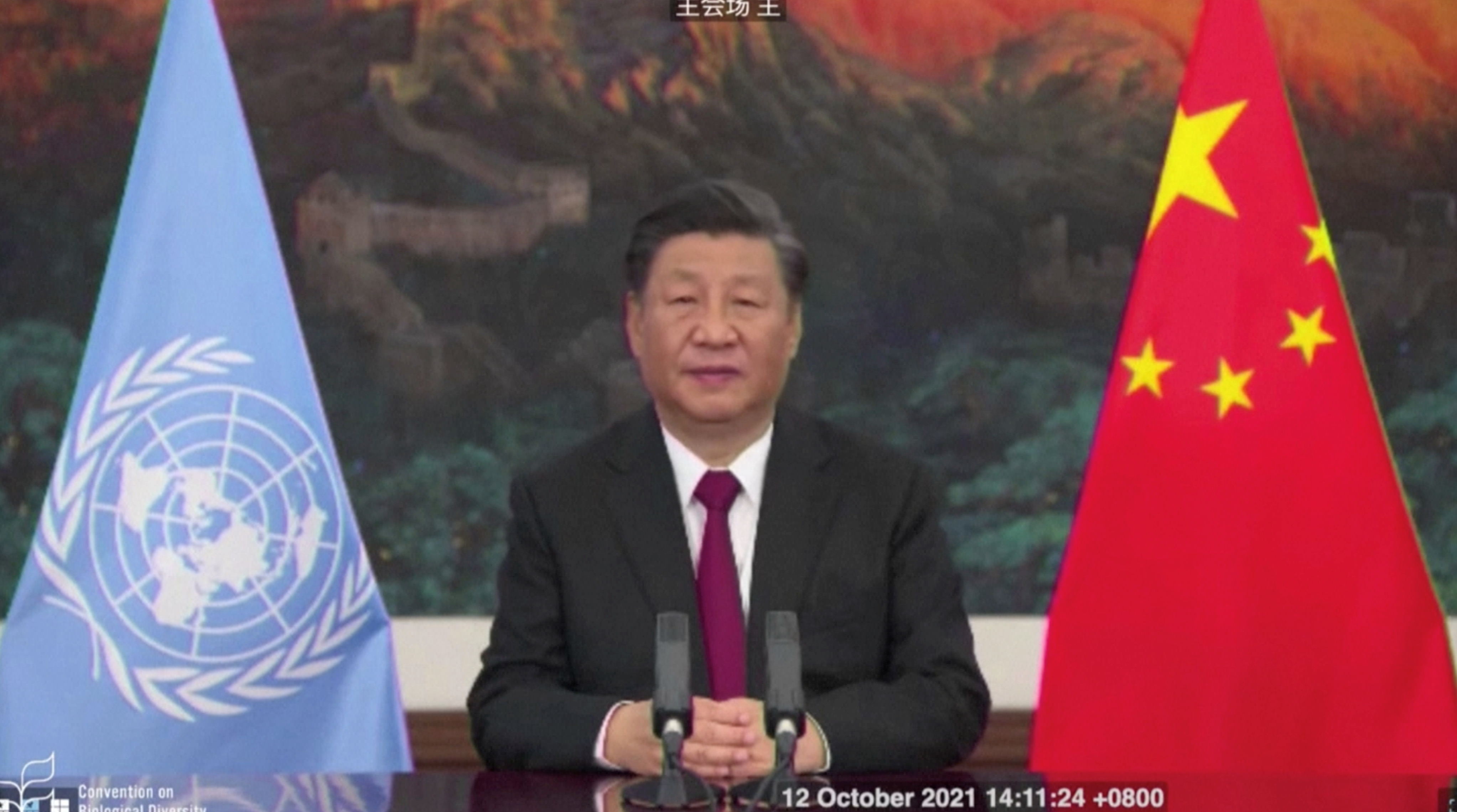 Chinese President Xi Jinping delivers a speech addressing the COP15 biodiversity summit in Kunming