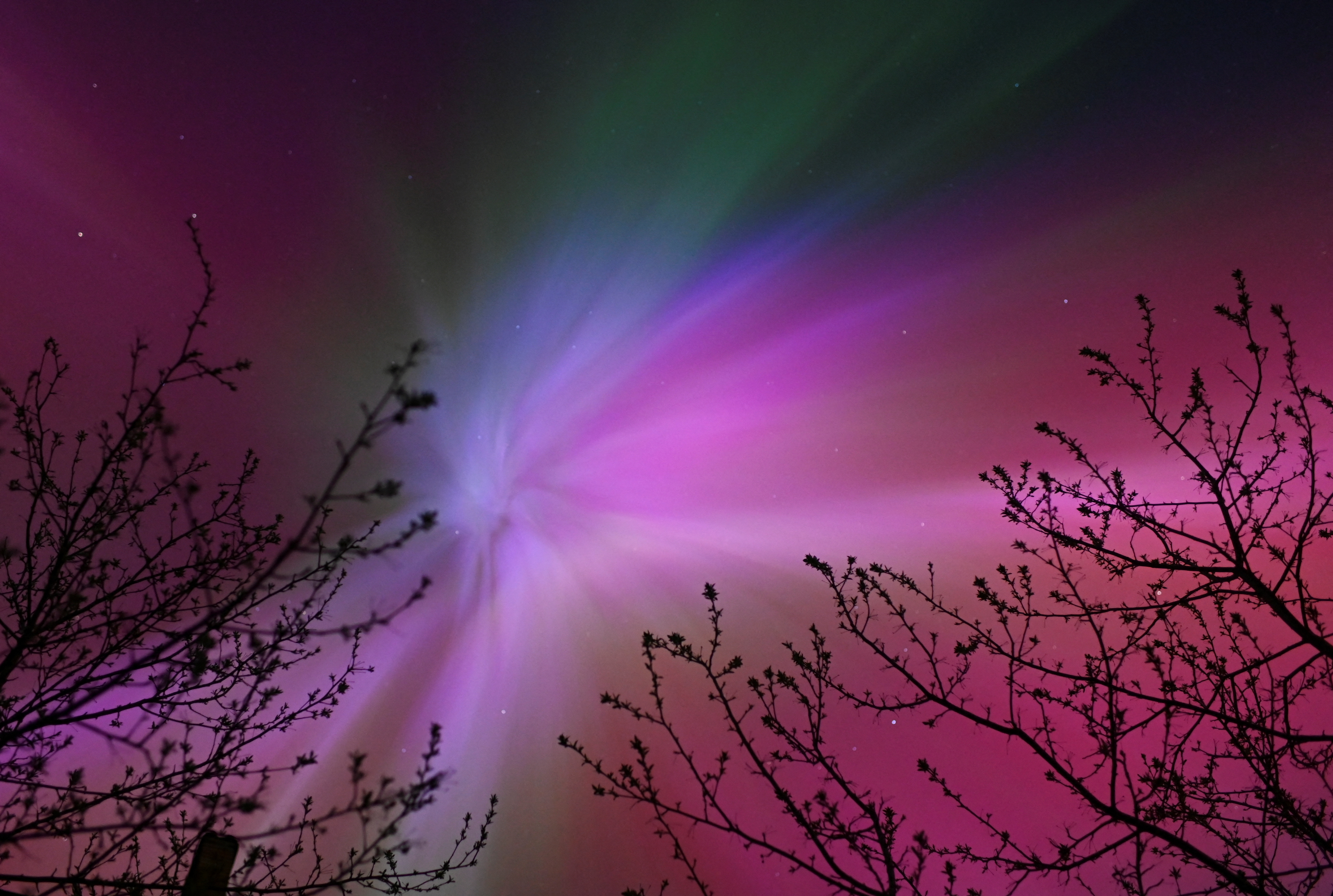 Auroras, caused by a coronal mass ejection on the Sun, illuminate the skies in Omsk region