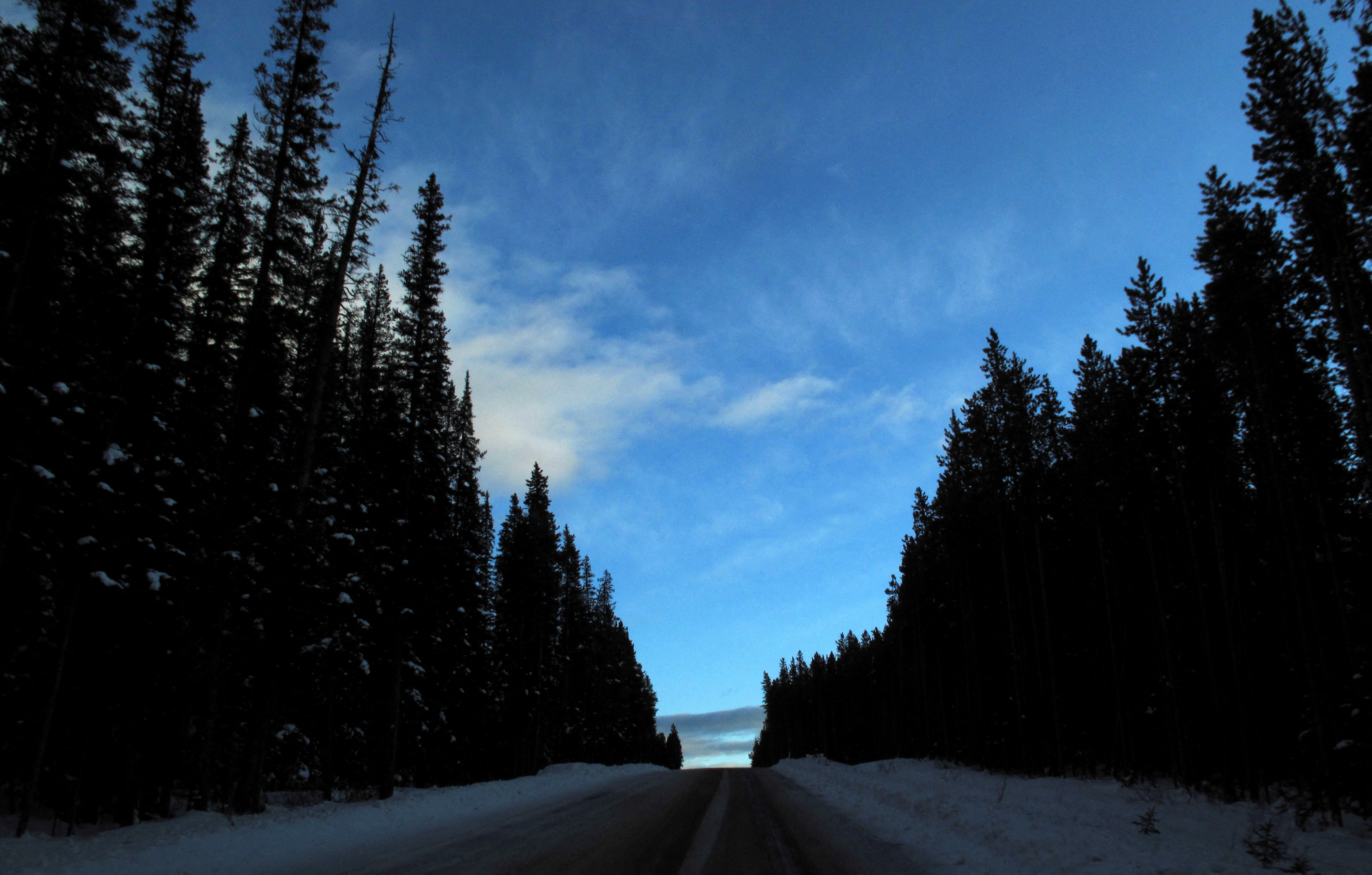 A snow covered road leads up a hill at dusk in Banff National Park near Lake Louise, Alberta