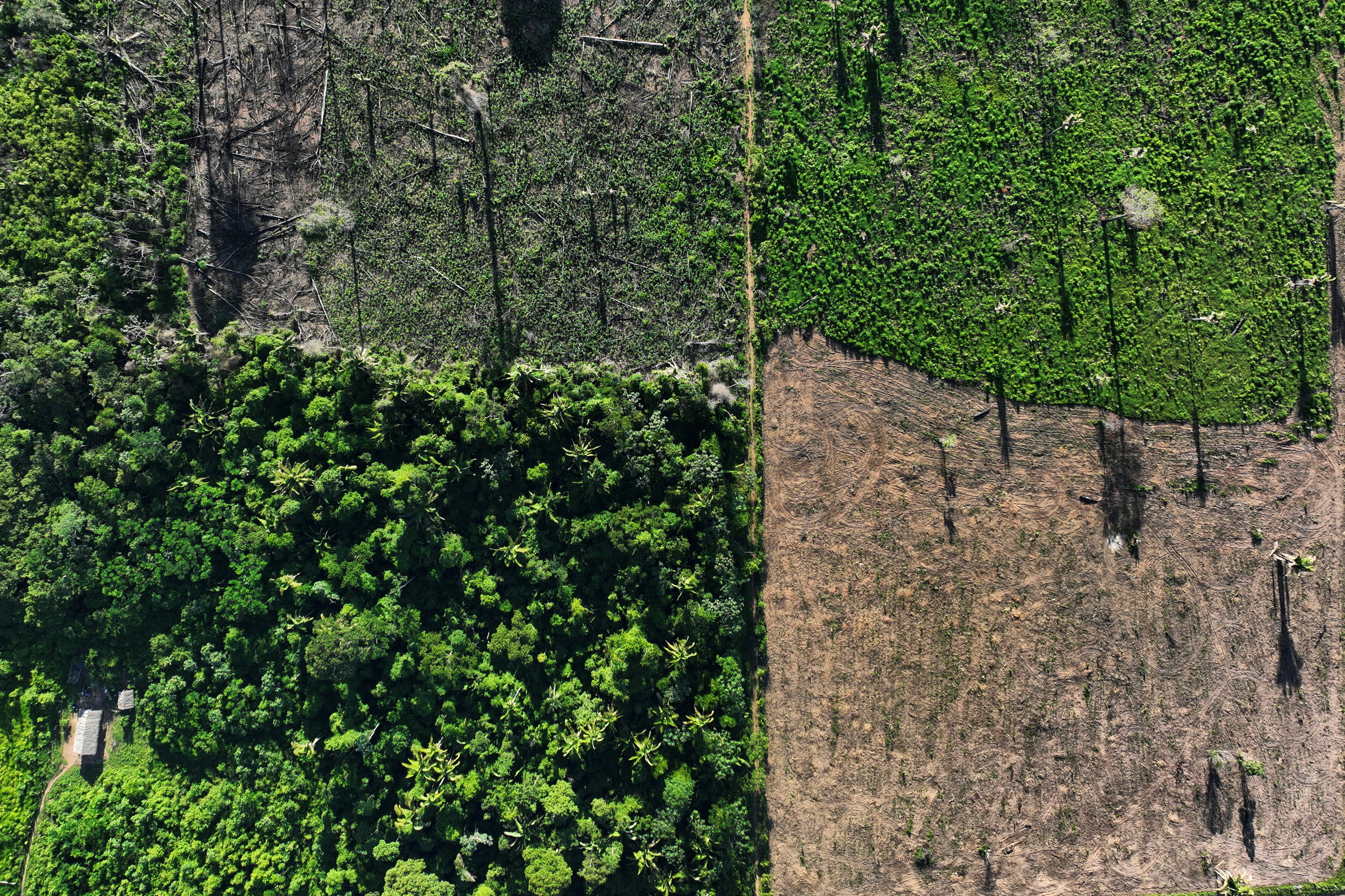 Operation to combat deforestation in Uruara