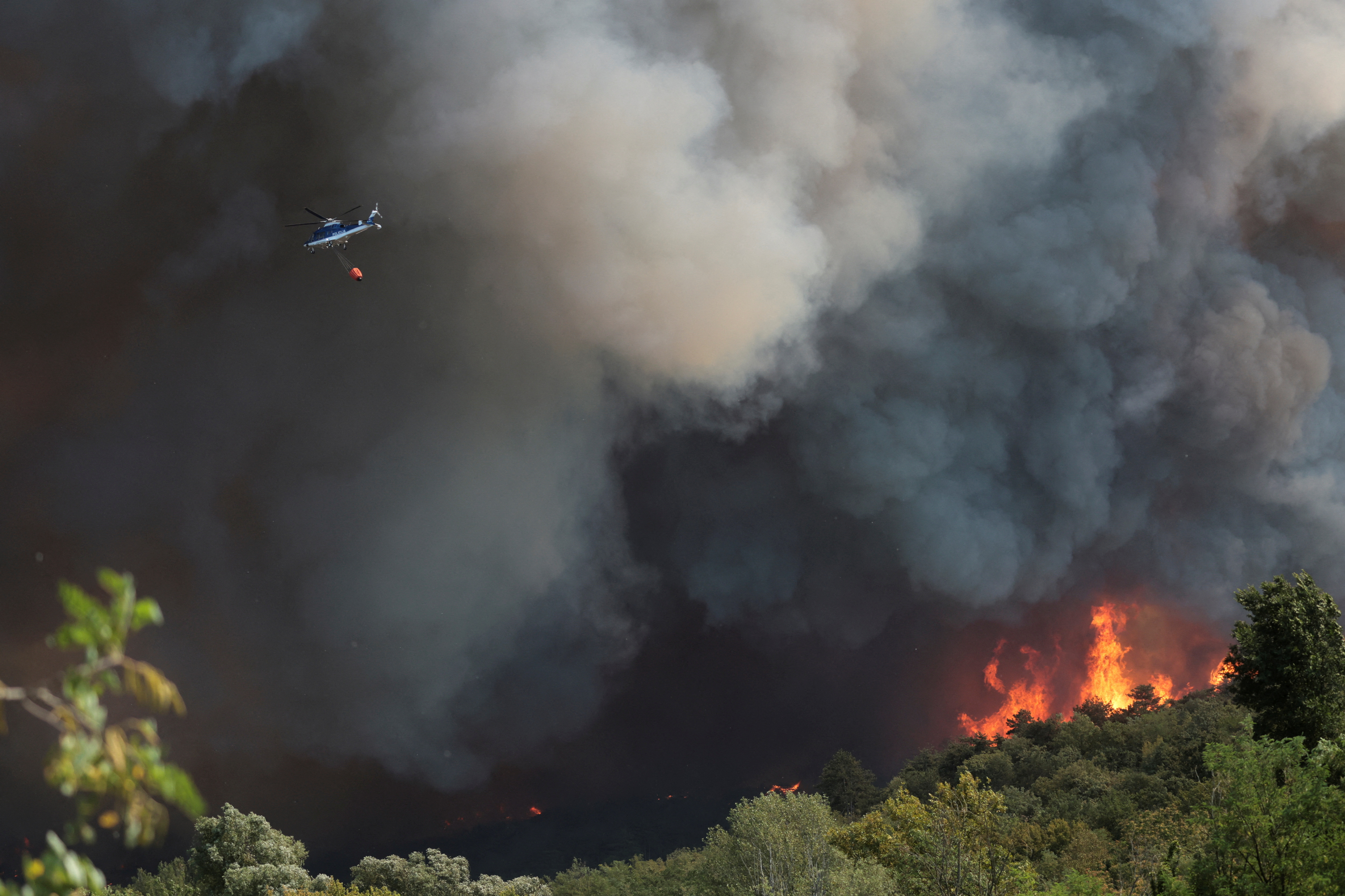 Wildfires raging in Europe: What, where and why?, Explainer News