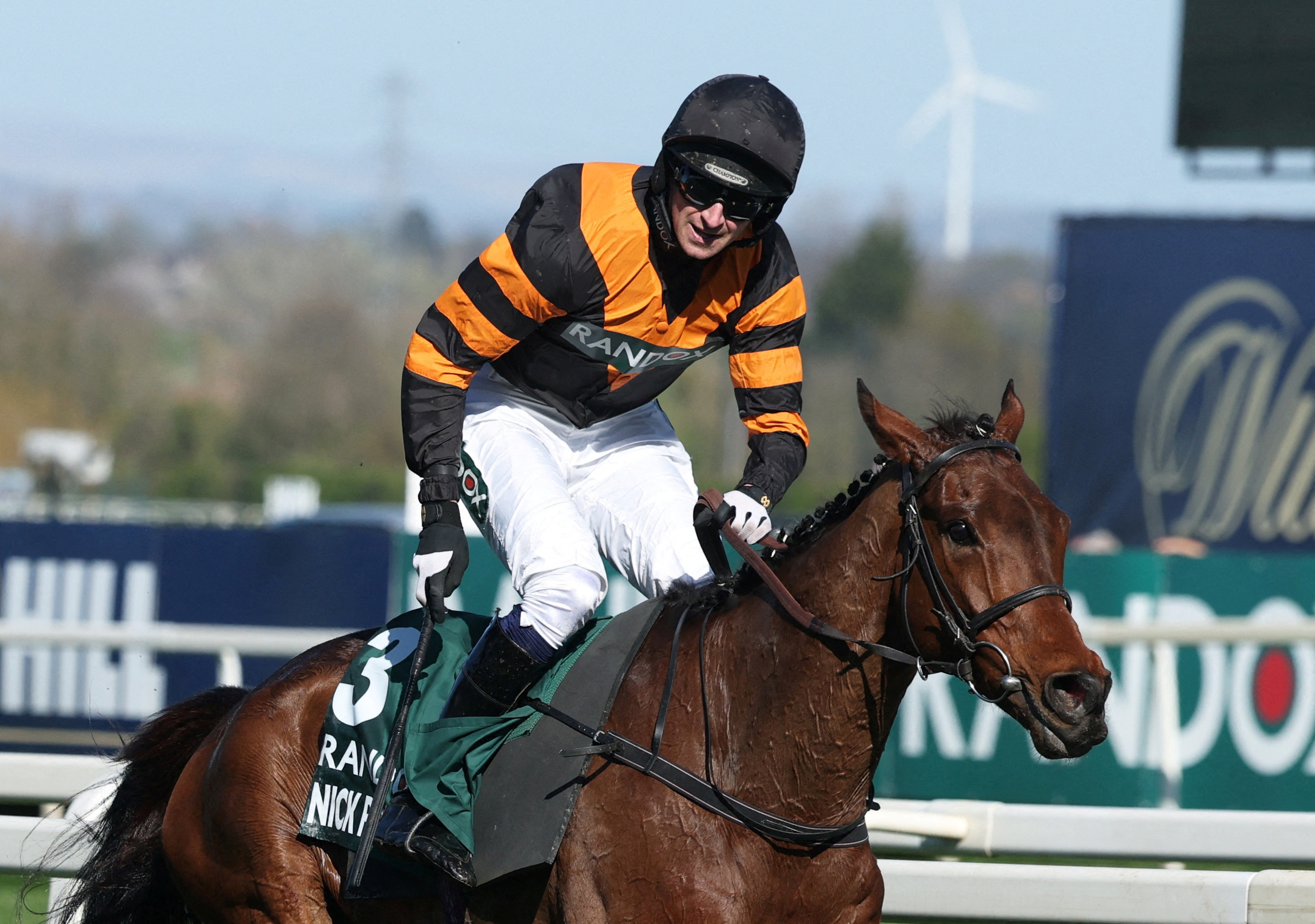 HORSE RACE　モンチッチ　2体　レーシングホース UPGFLONL4VPY3GG4LKMH2LD42M.jpg